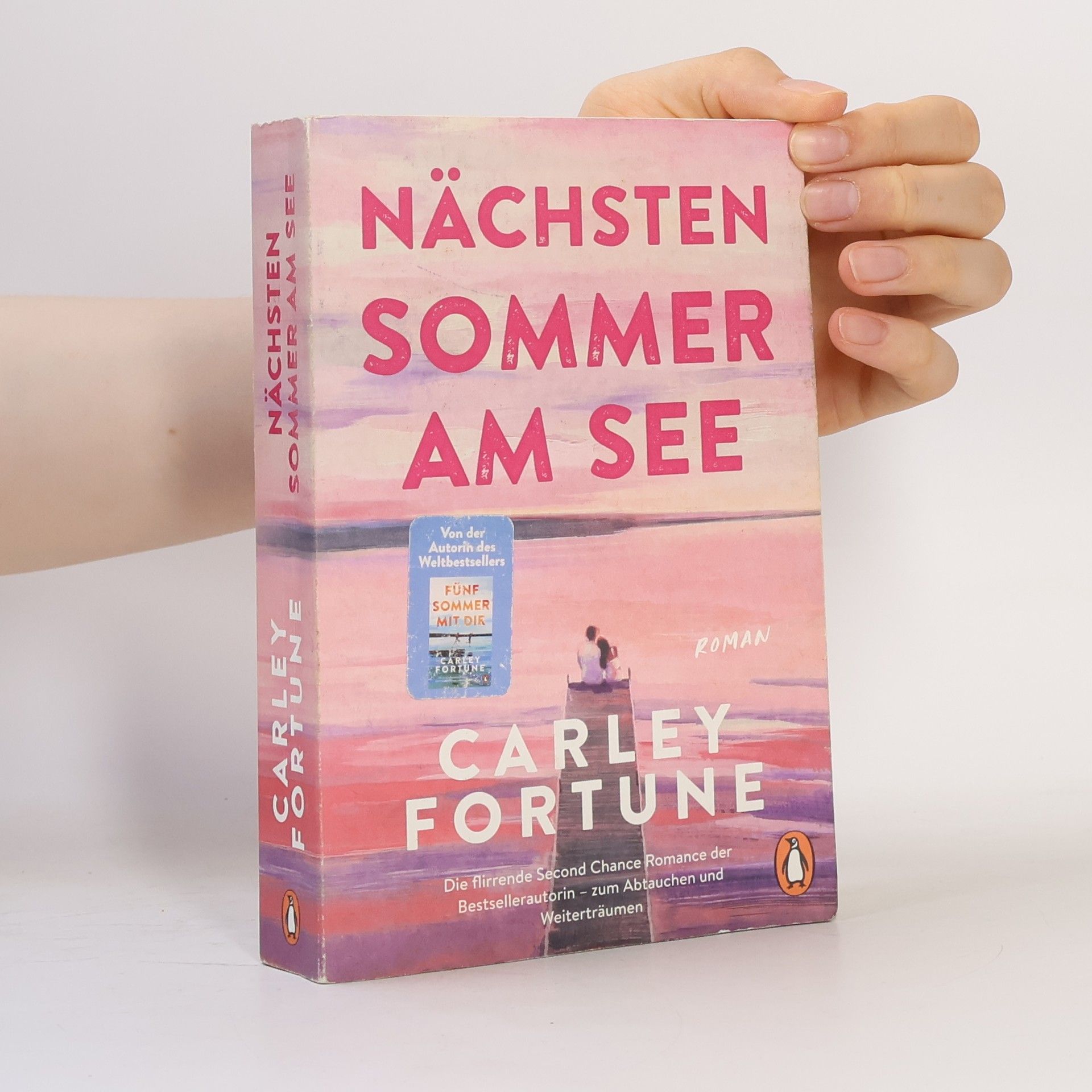 Carley Fortune Nächsten Sommer am See