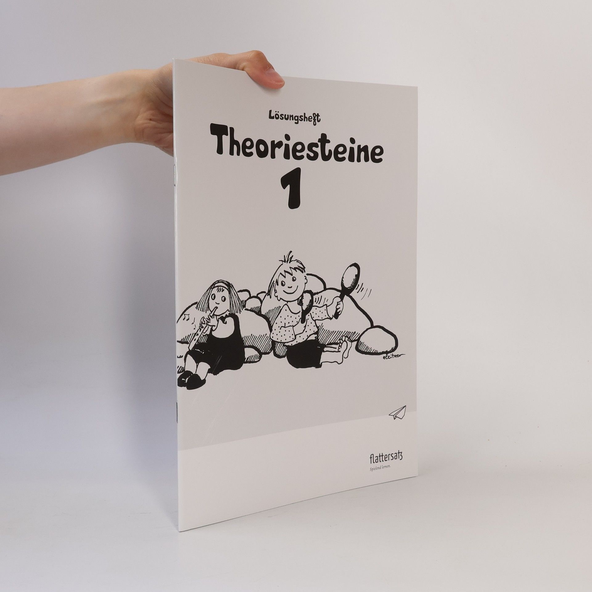 Autorenkollektiv Theoriesteine 1 - Lösungsheft