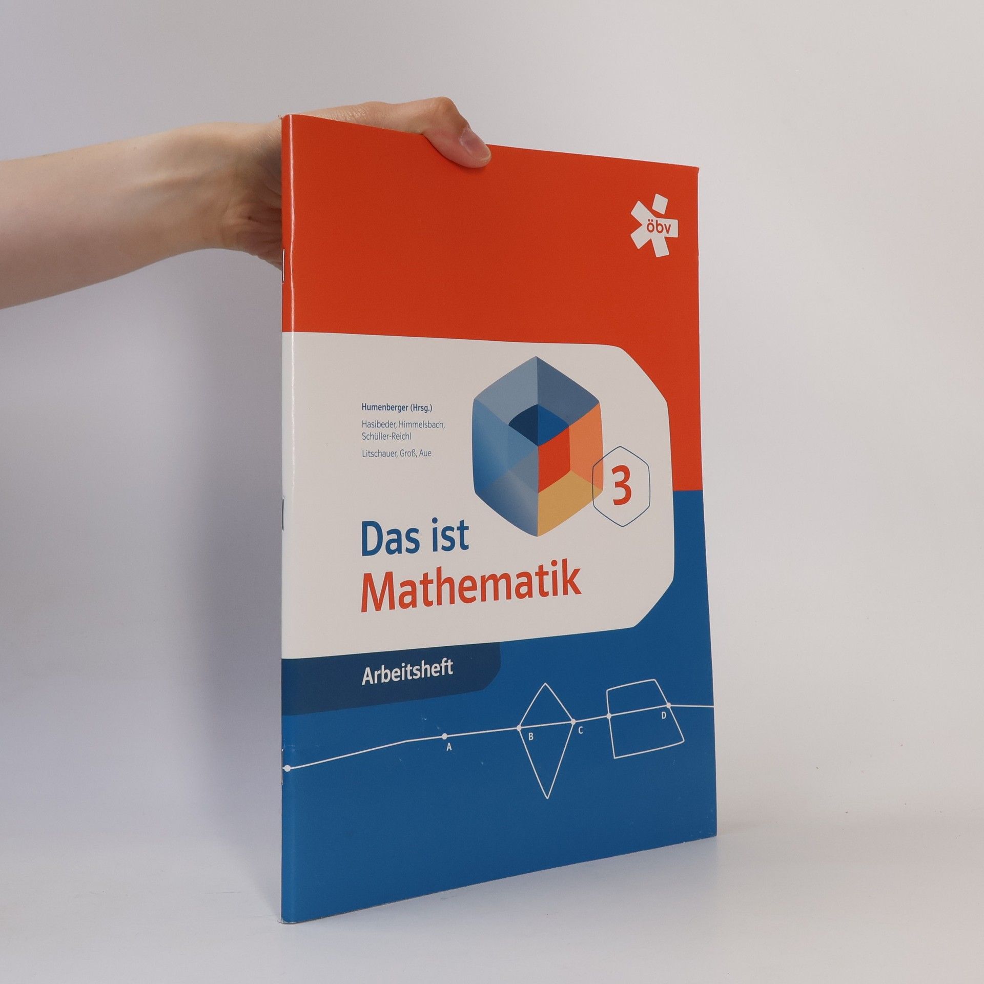 Dieter Litschauer Das ist Mathematik