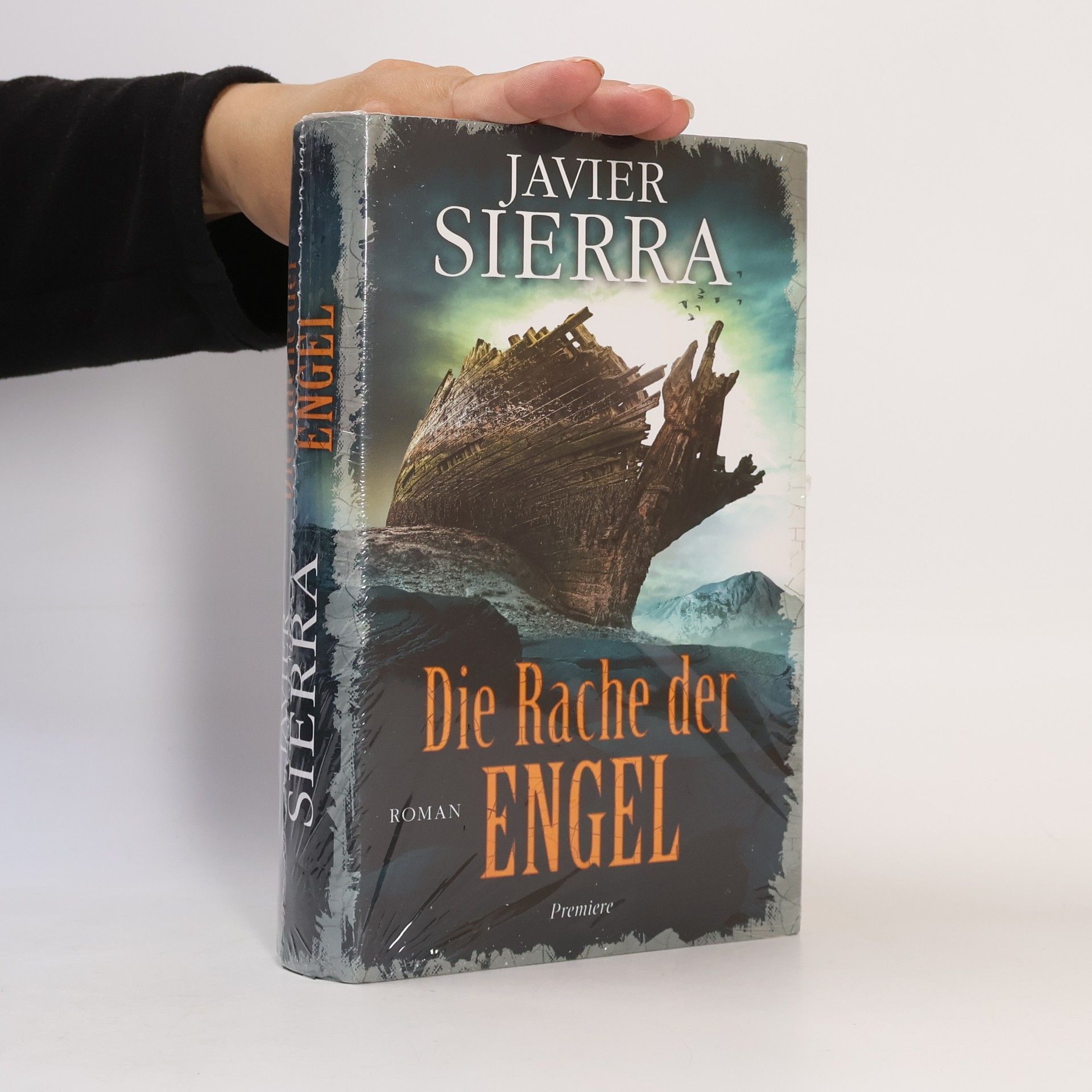Javier Sierra Die Rache der Engel