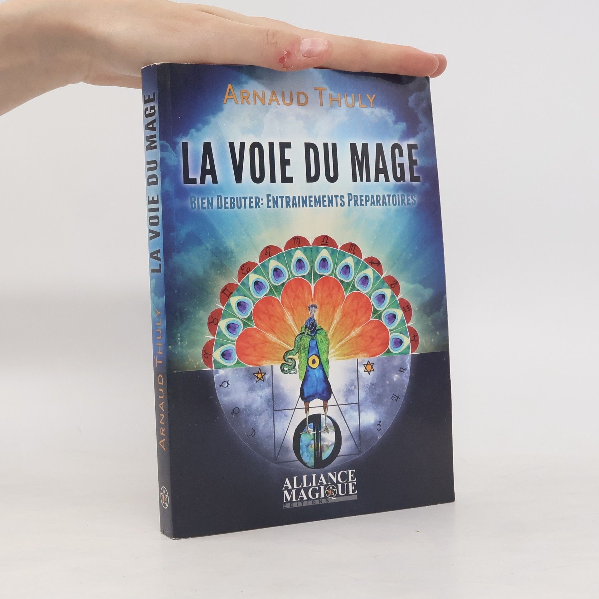 Arnaud Thuly La Voie du Mage