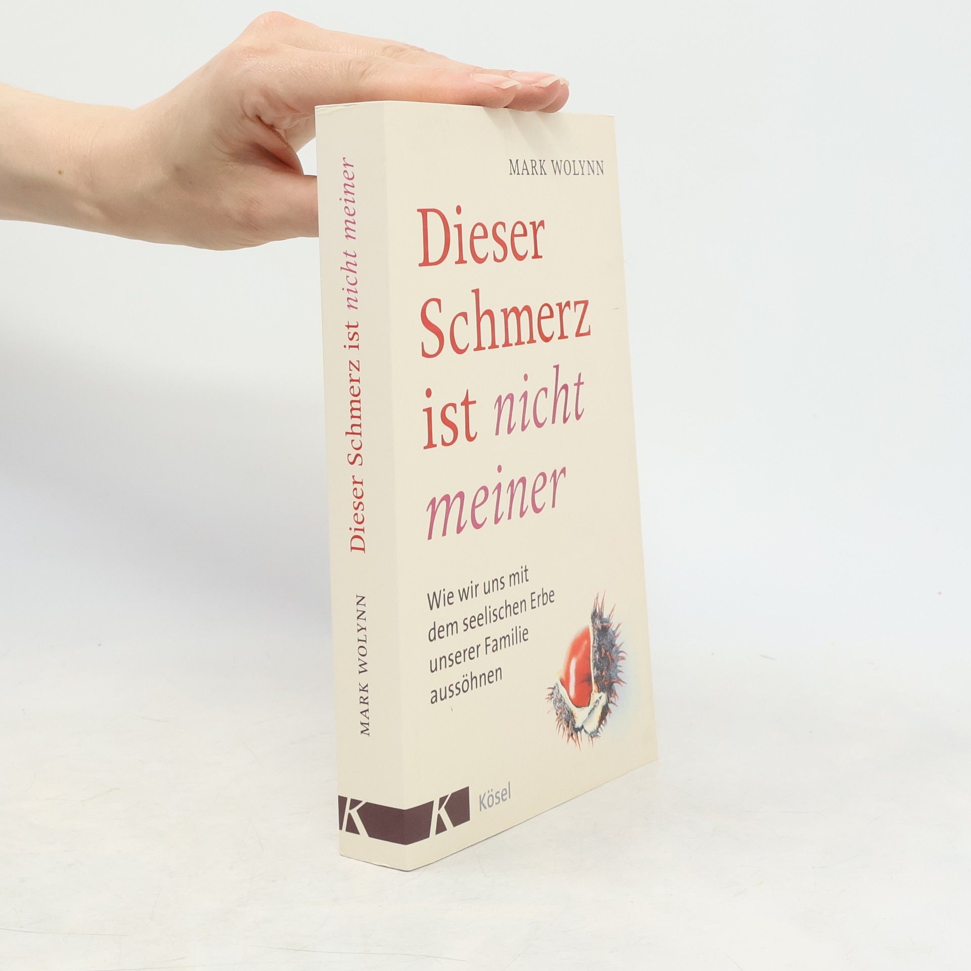 Mark Wolynn Dieser Schmerz ist nicht meiner