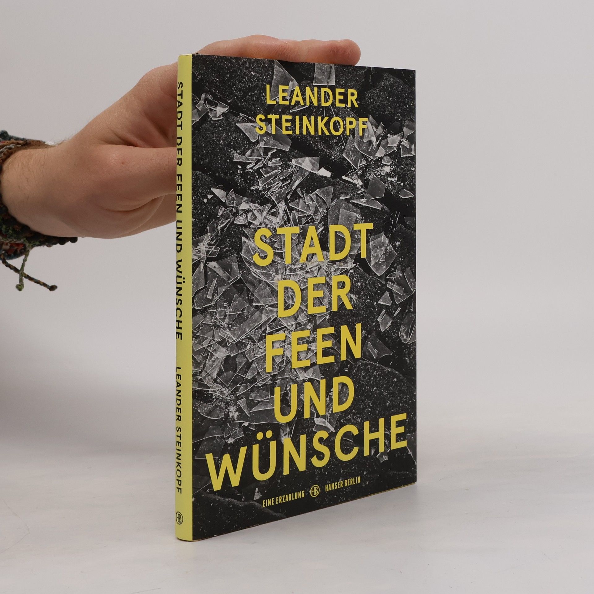 Leander Steinkopf Stadt der Feen und Wünsche