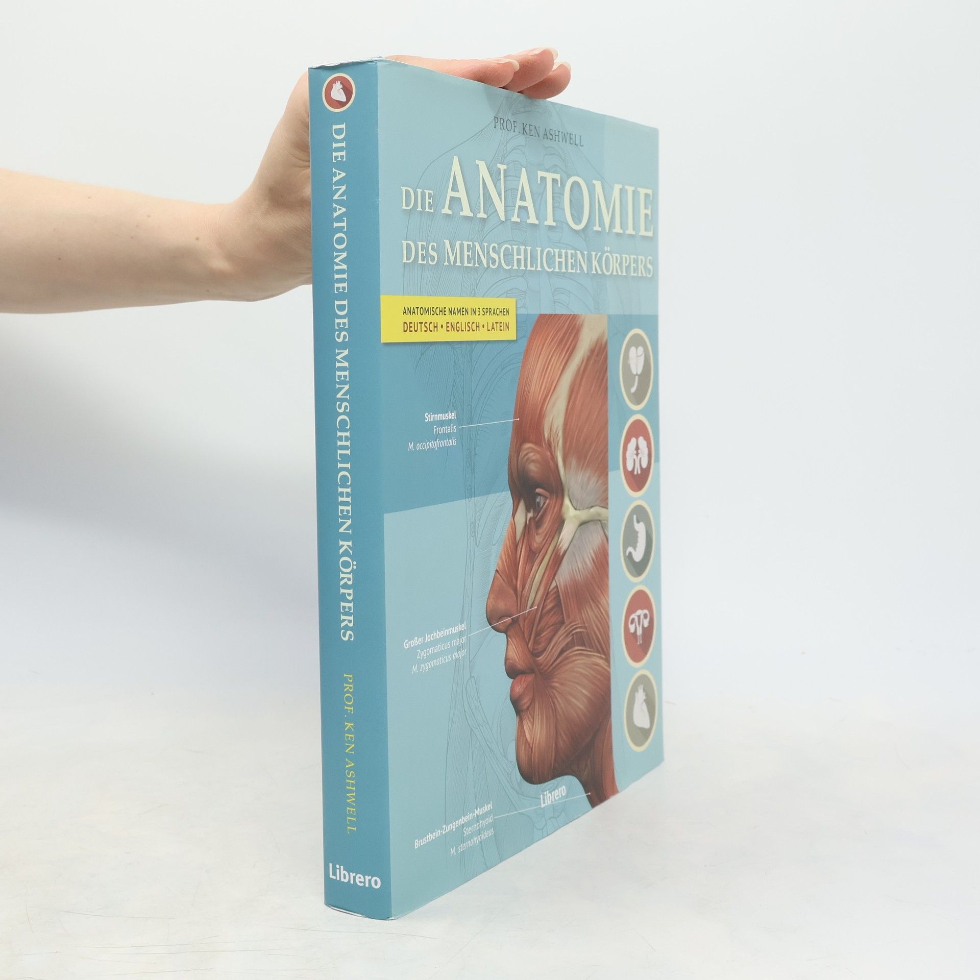 Ken Ashwell Die Anatomie des menschlichen Körpers