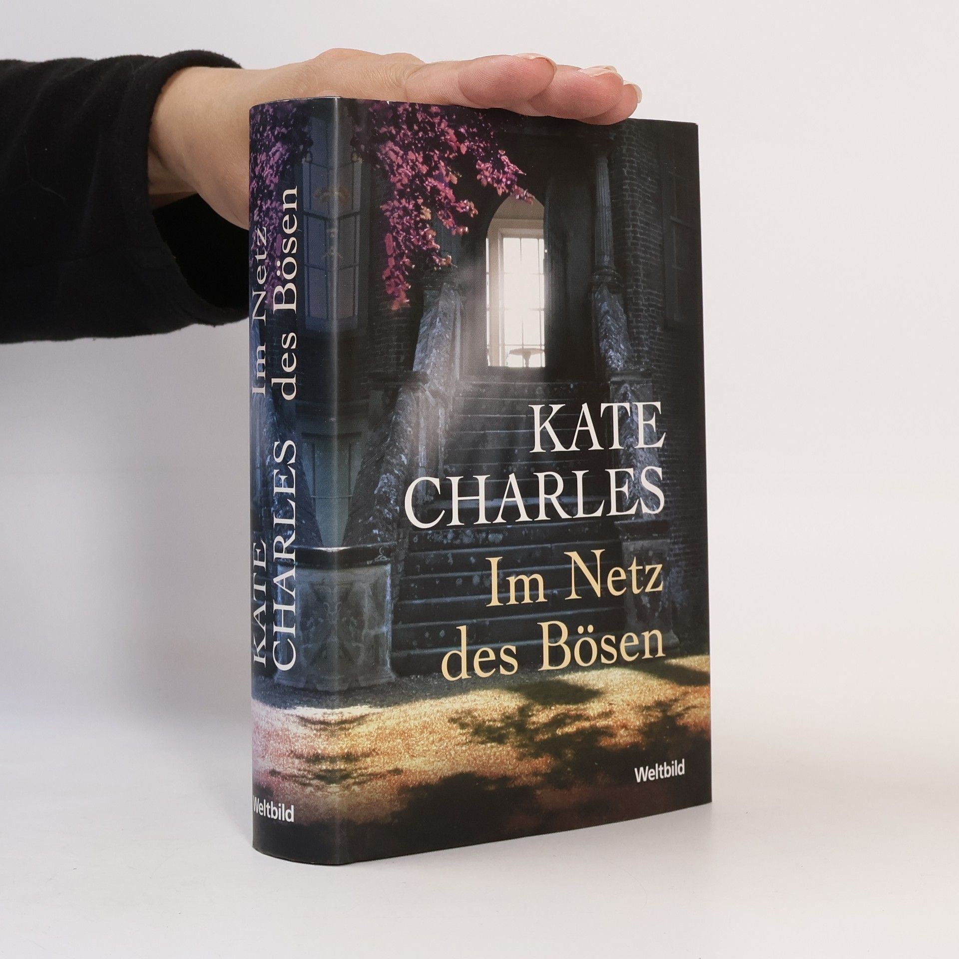 Kate Charles Im Netz des Bösen