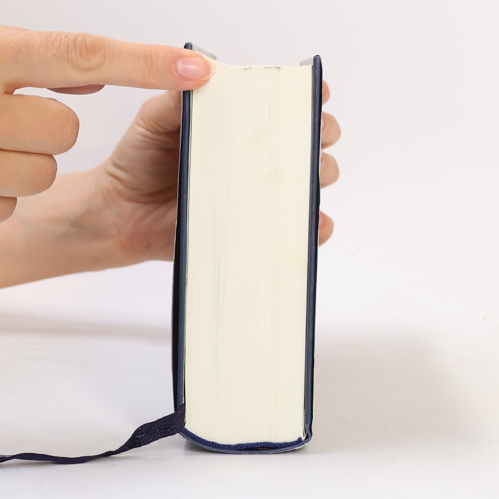 Stephenie Meyer Biss zur Mittagsstunde
