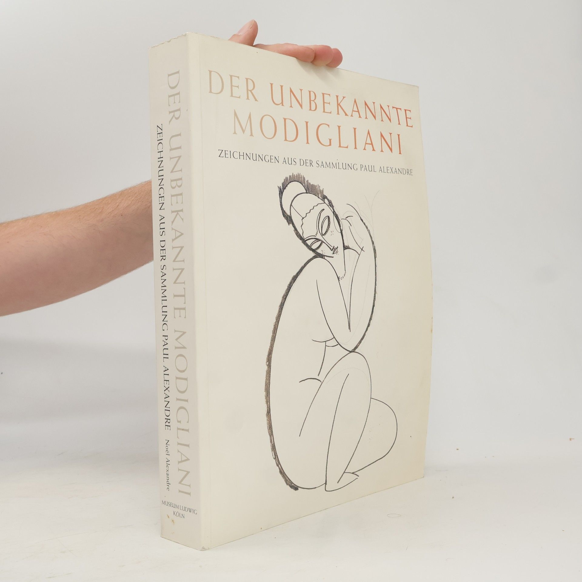 Paul Alexandre Der unbekannte Modigliani