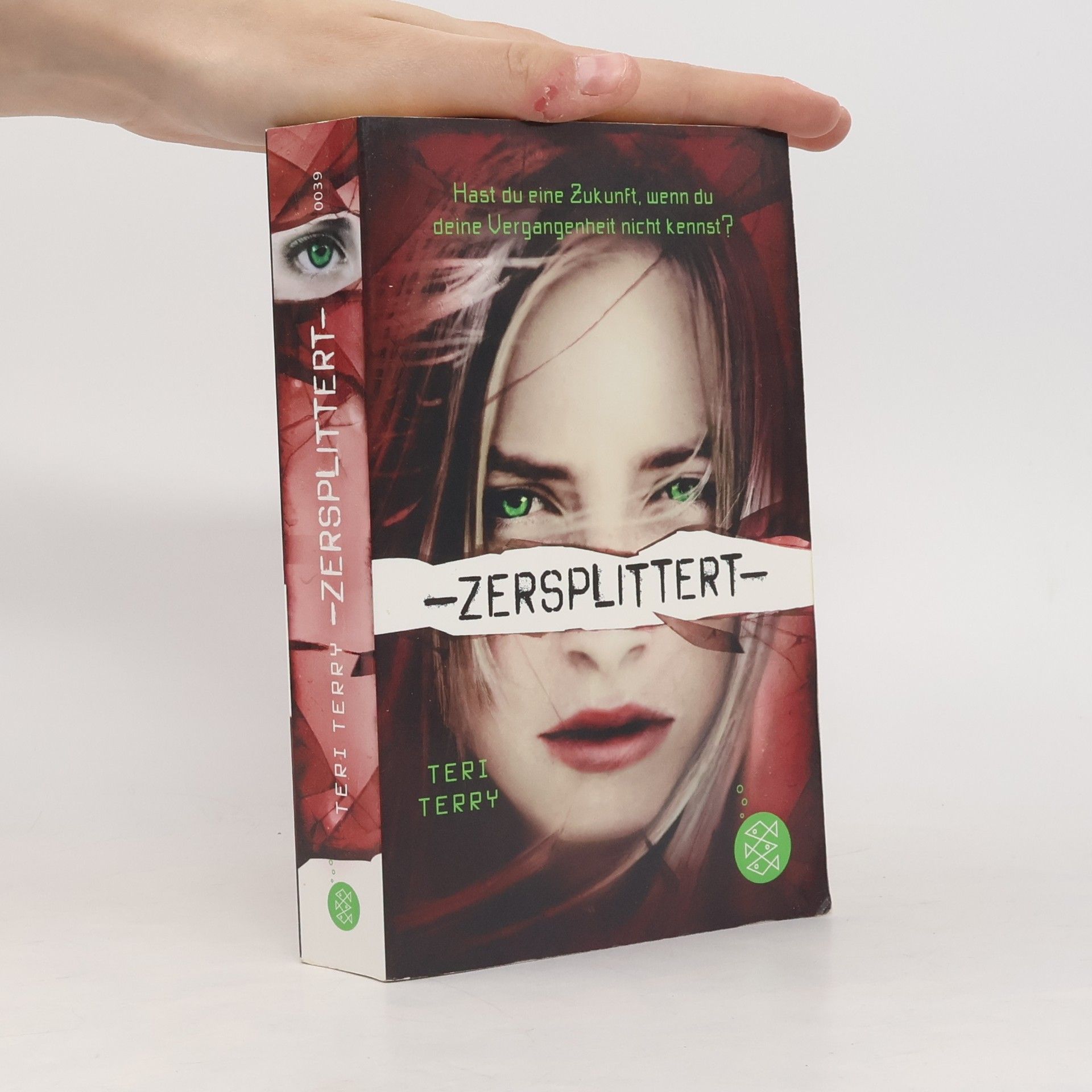 Teri Terry Zersplittert