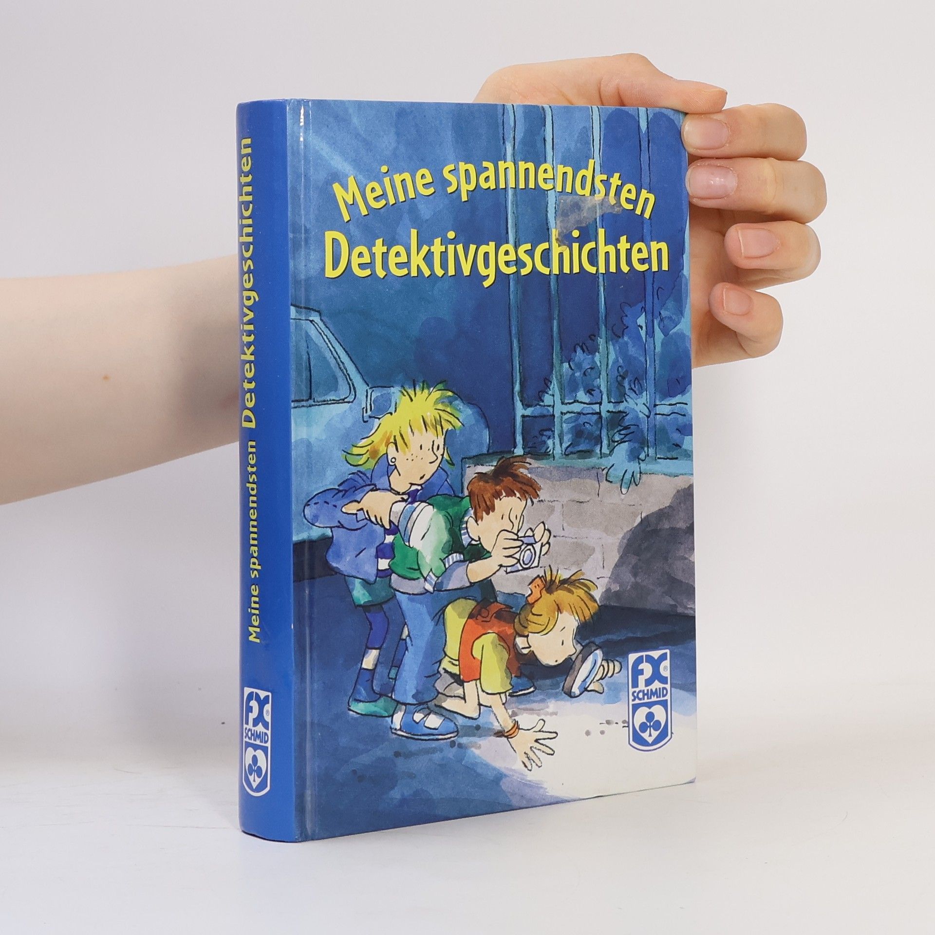 Fiona Kelly Meine spannendsten Detektivgeschichten