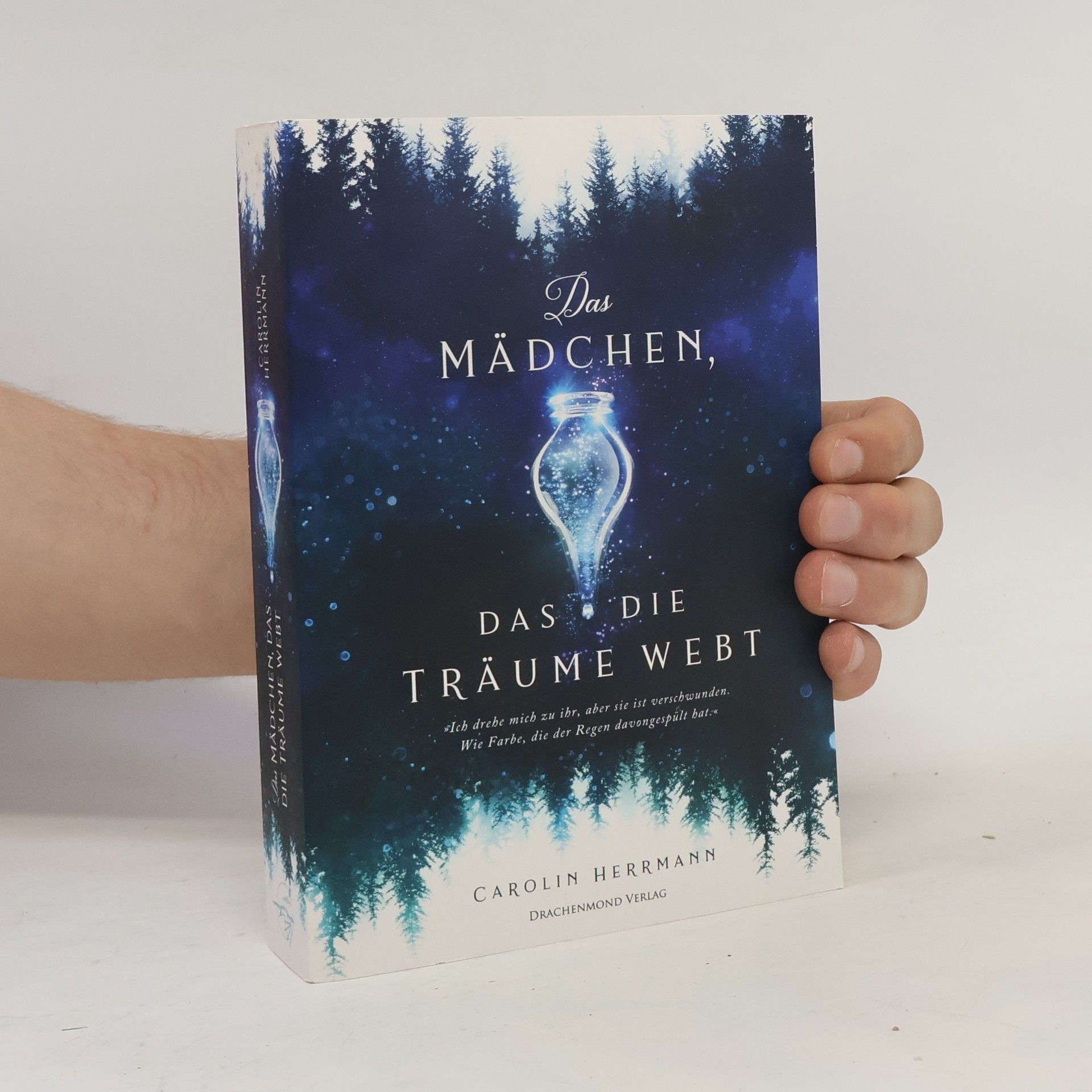 Carolin Herrmann Das Mädchen, das die Träume webt