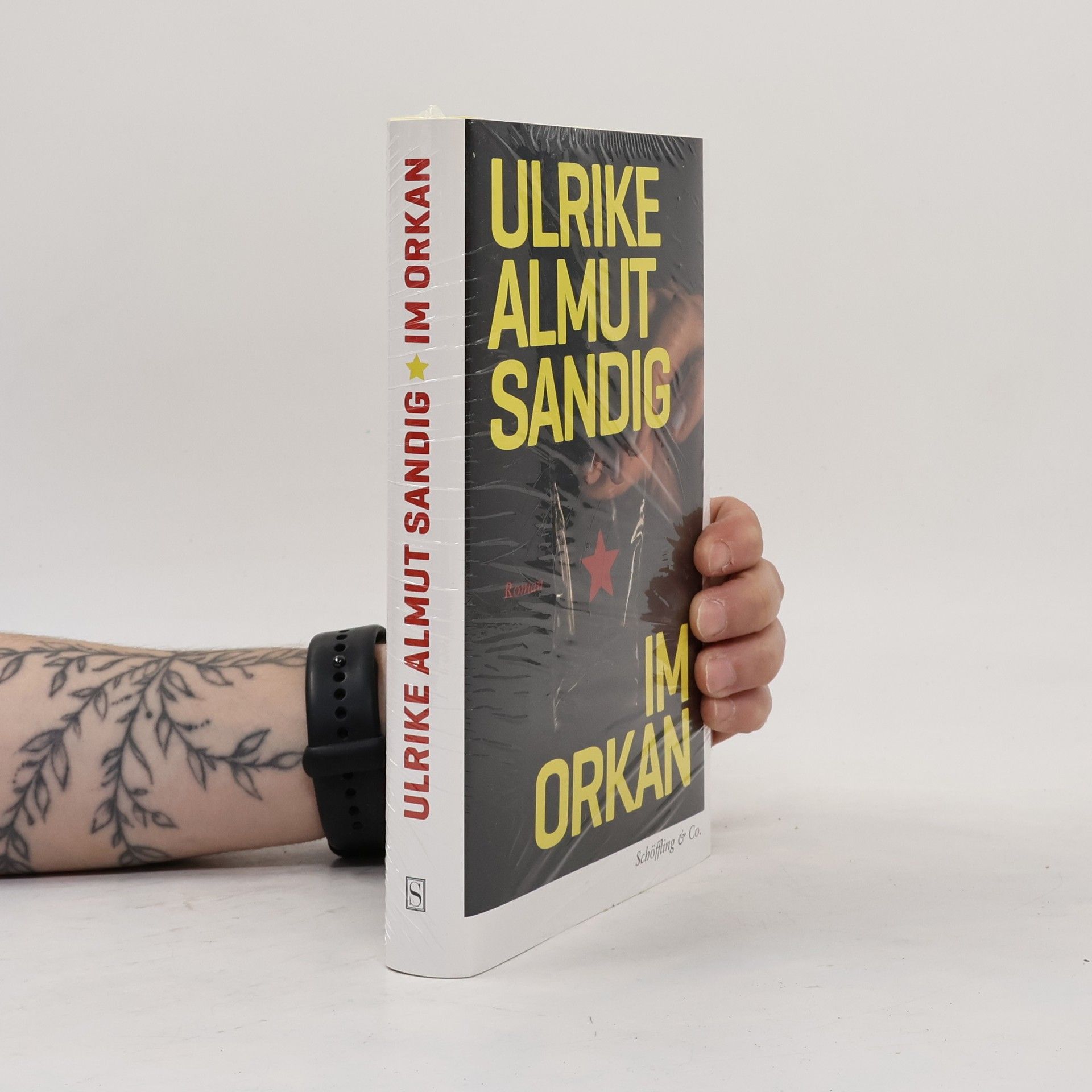Ulrike Almut Sandig Im Orkan