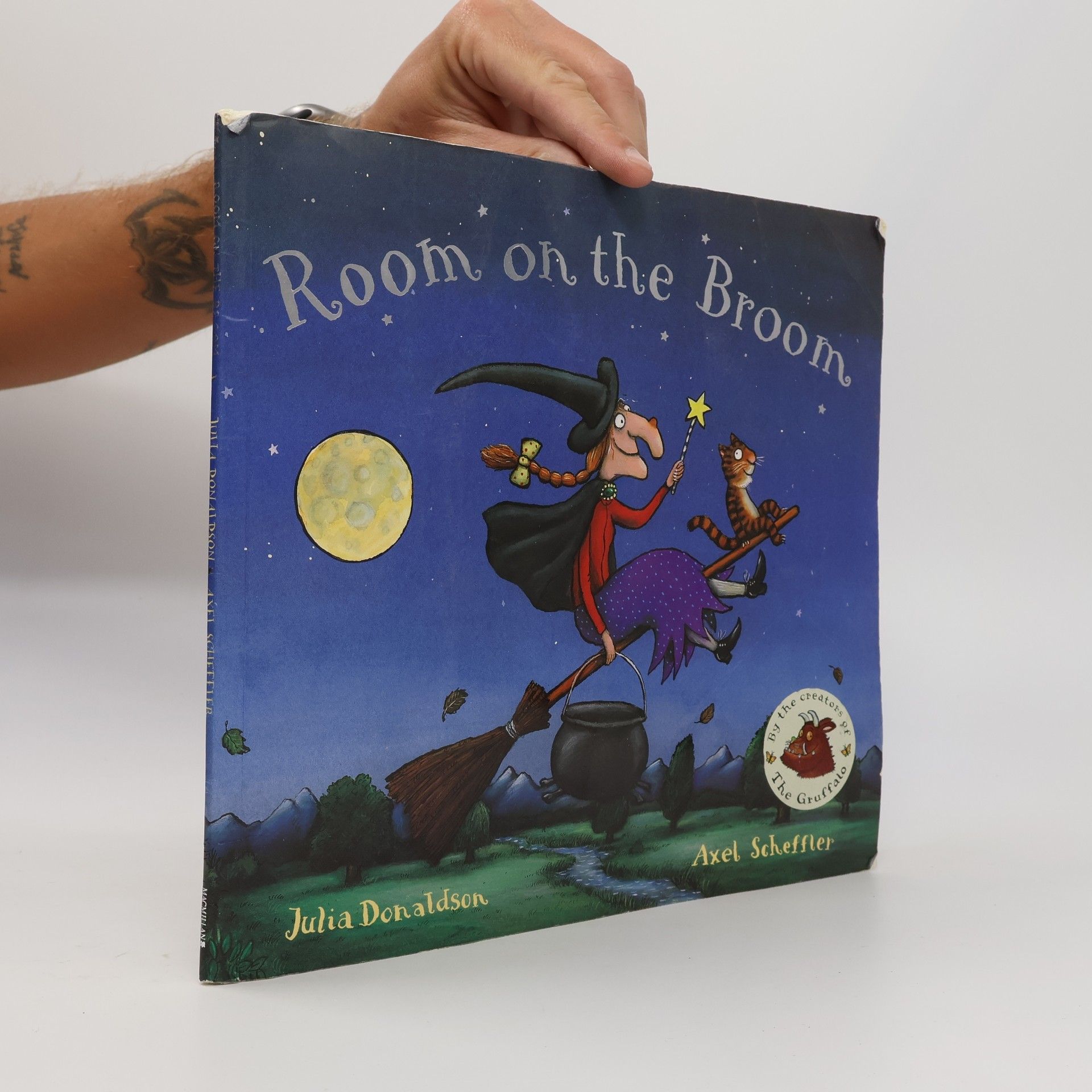 Julia Donaldson Room on the Broom