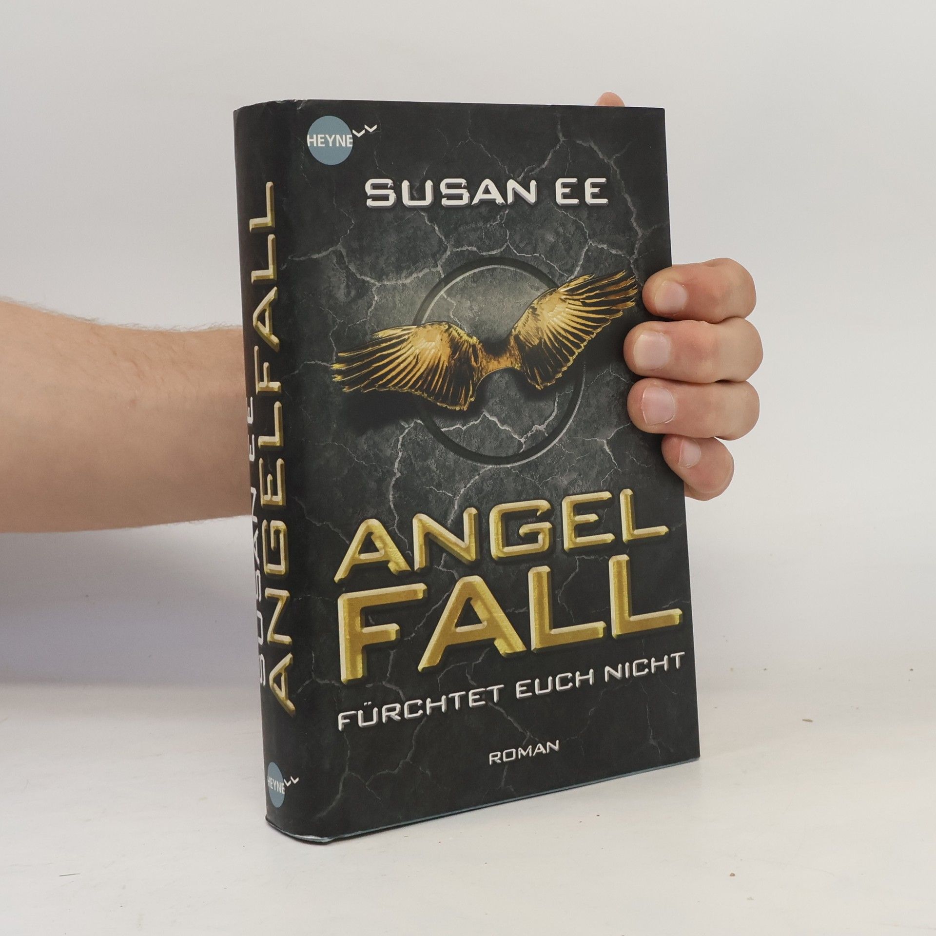 Susan Ee Angelfall