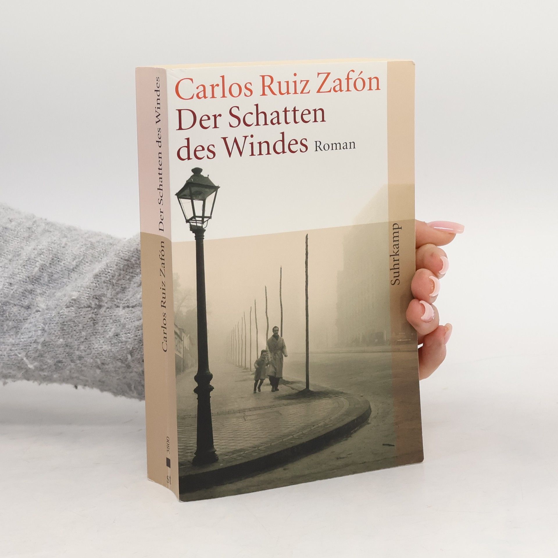 Carlos Ruiz Zafón Der Schatten des Windes