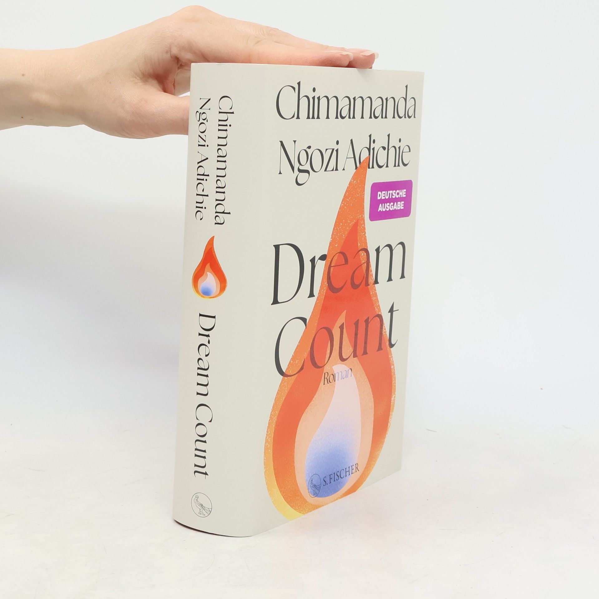 Chimamanda Ngozi Adichie Dream Count