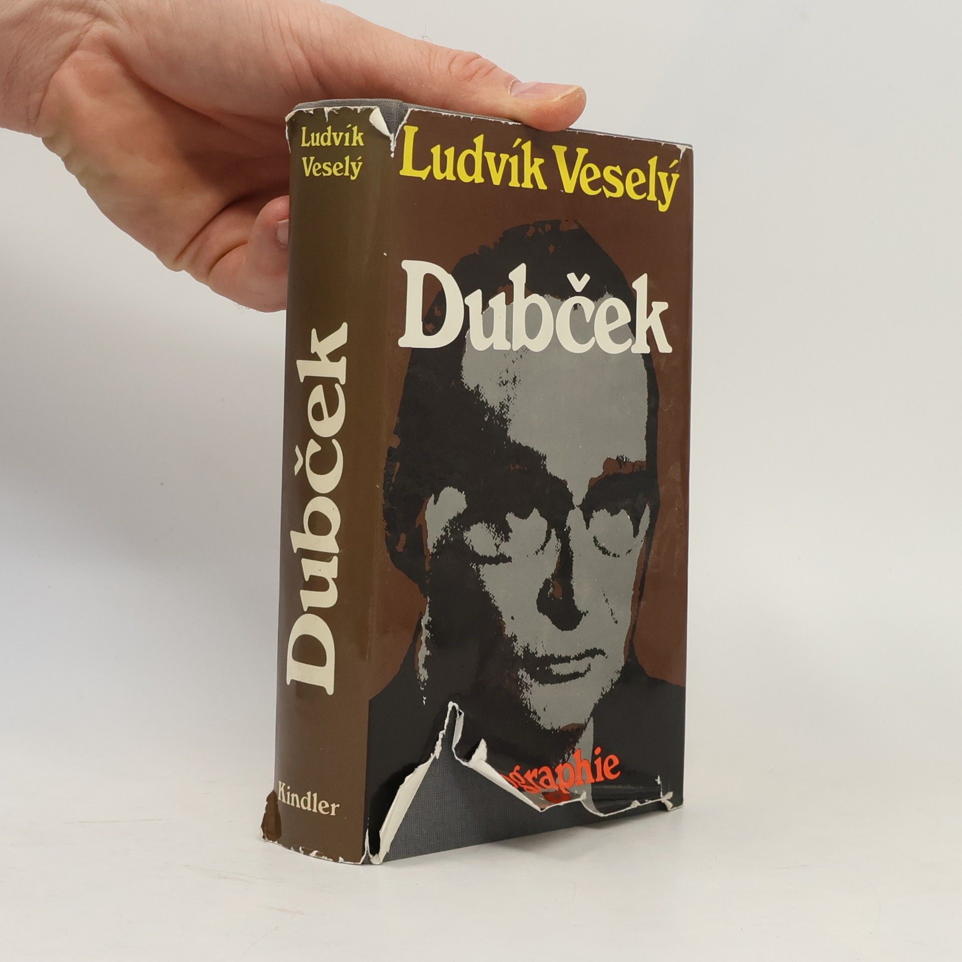 Ludvík Veselý Dubček
