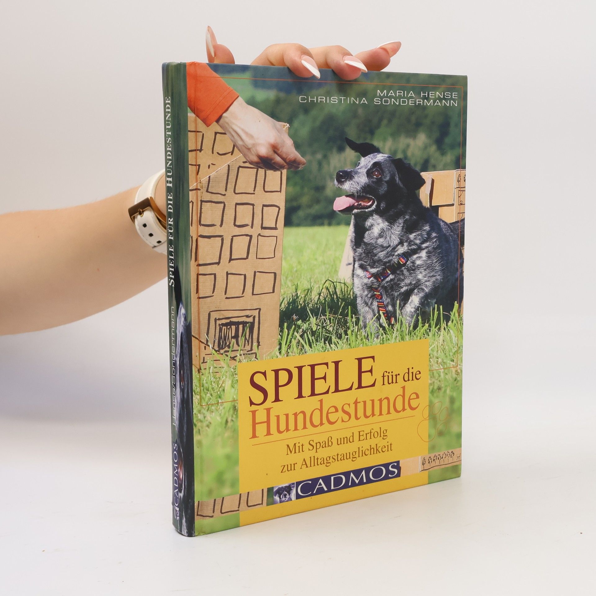 Maria Hense Spiele für die Hundestunde