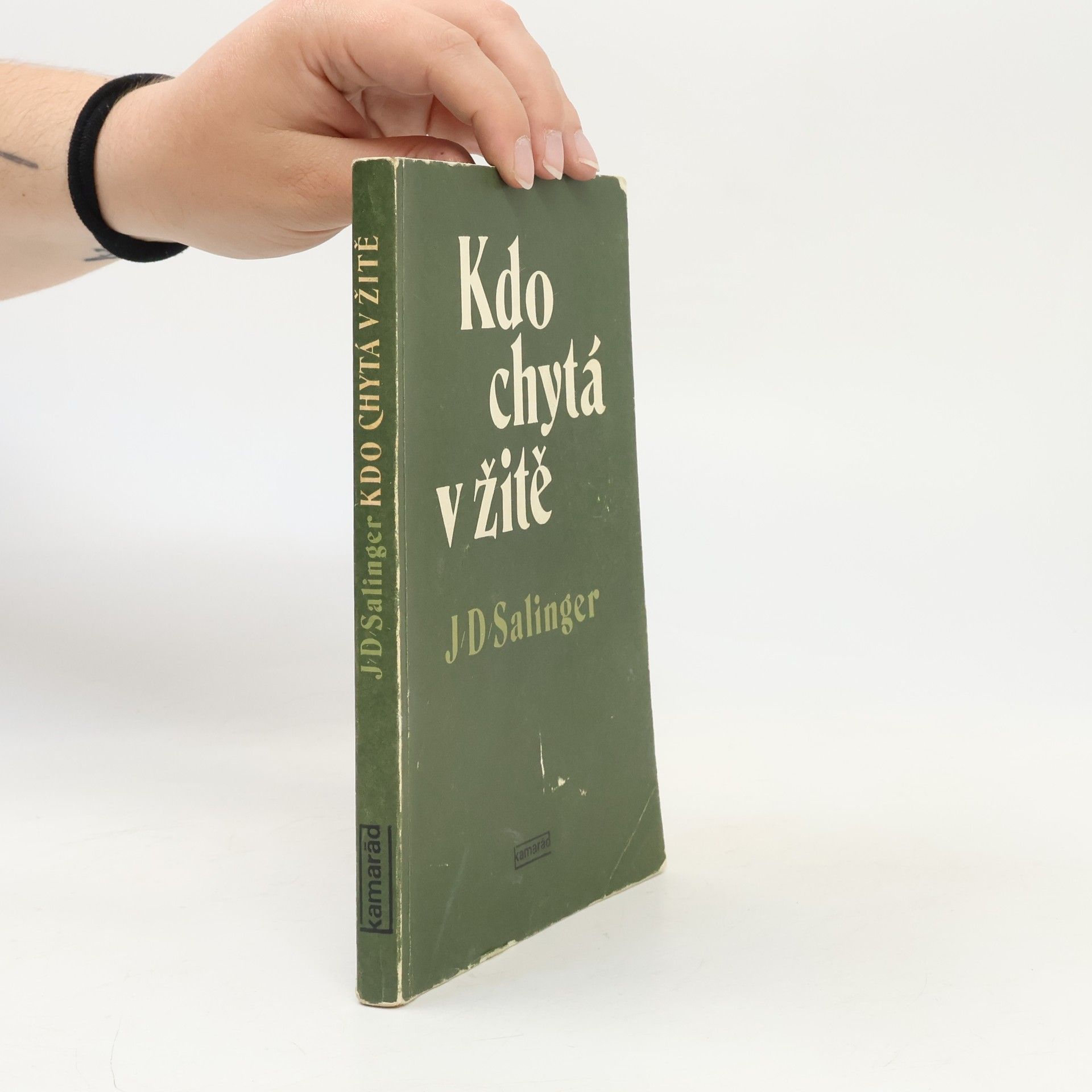 Jerome David Salinger Kdo chytá v žitě