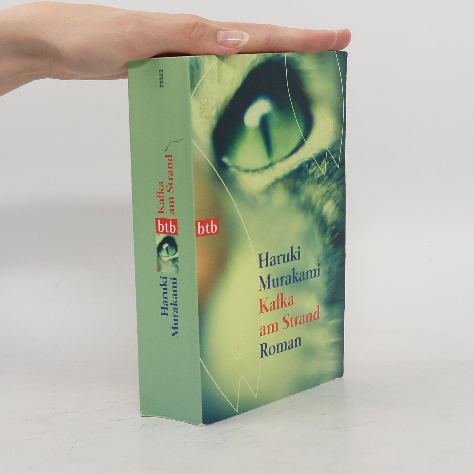 Haruki Murakami Kafka am Strand