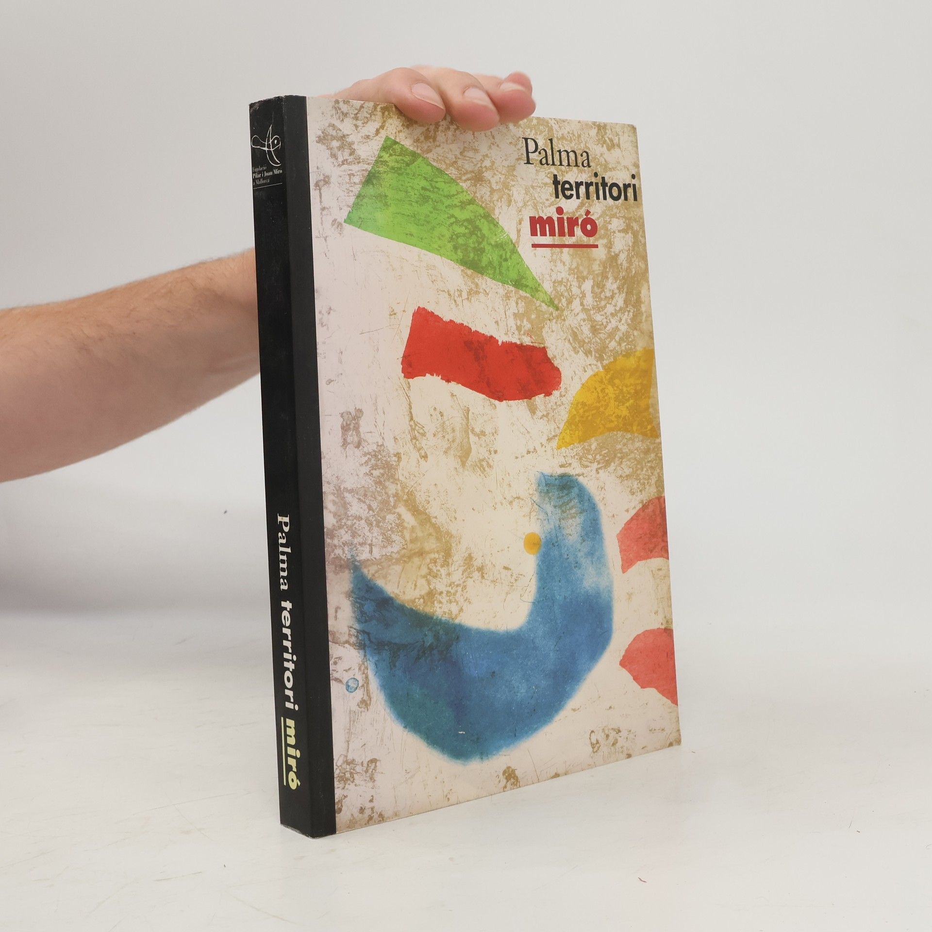 Autorenkollektiv Palma territori Miró