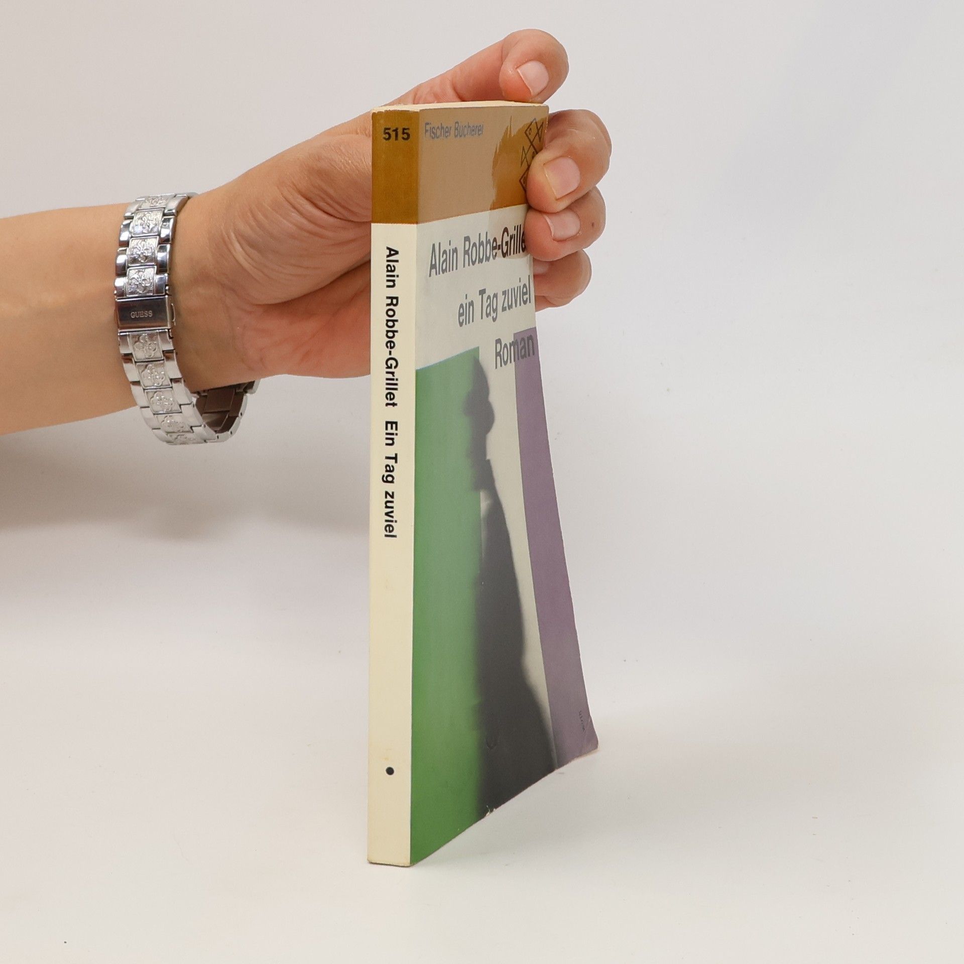 Alain Robbe-Grillet Ein Tag zuviel