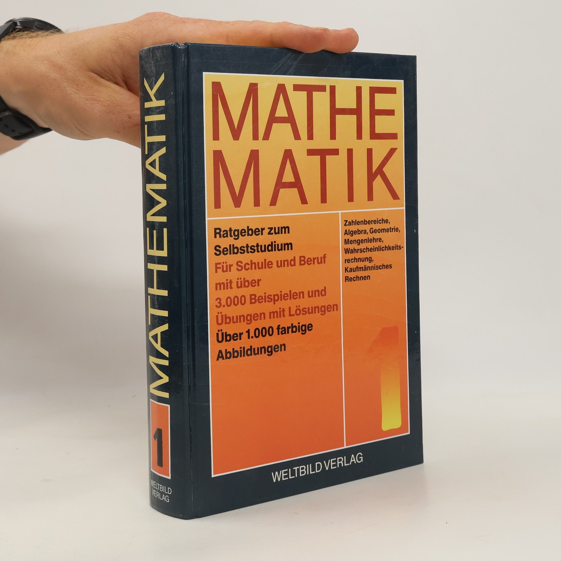 Autorenkollektiv Mathematik 1. Ratgeber zum Selbststudium