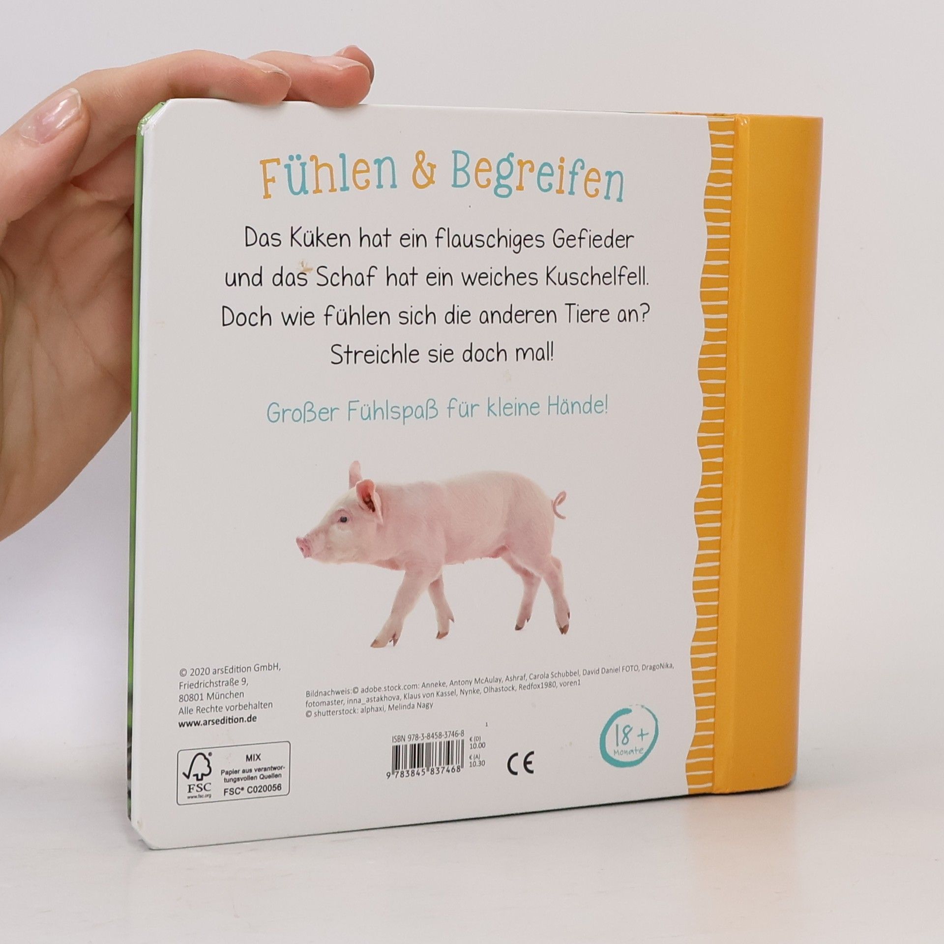 Kolektiv autorů Mein großes Streichelbuch - Bauernhof