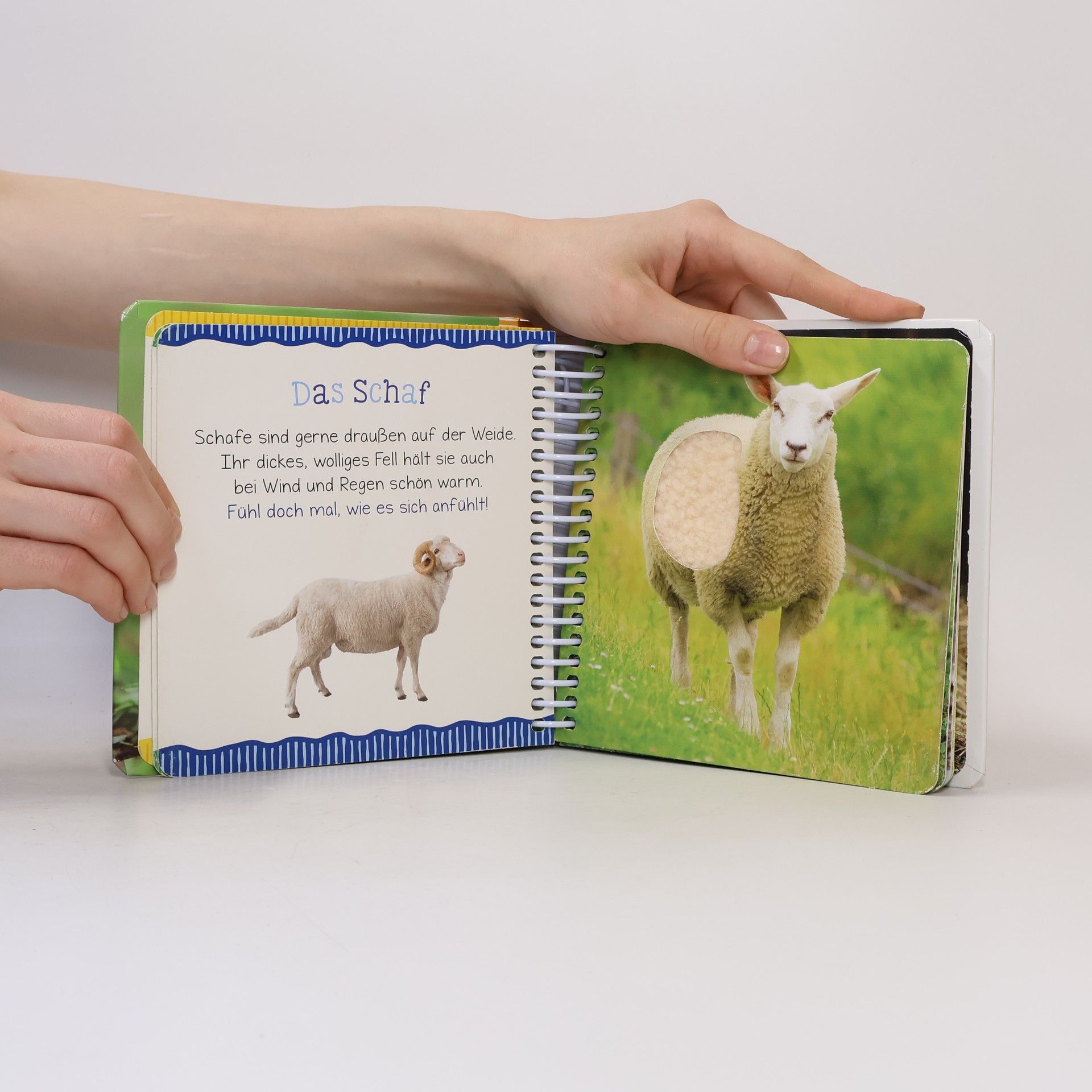 Kolektiv autorů Mein großes Streichelbuch - Bauernhof