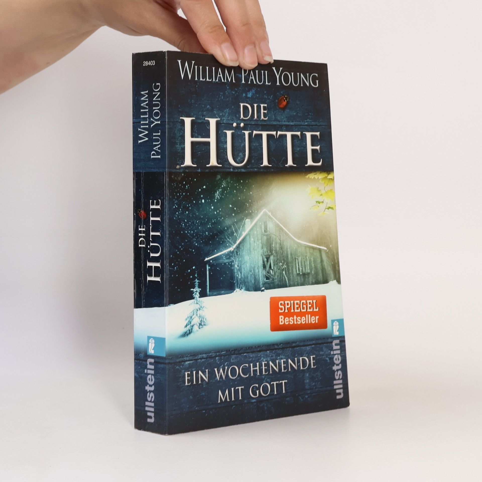 William P. Young Die Hütte