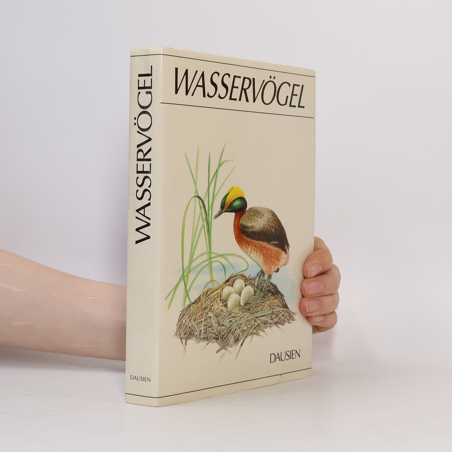 Karel Šťastný Wasservögel