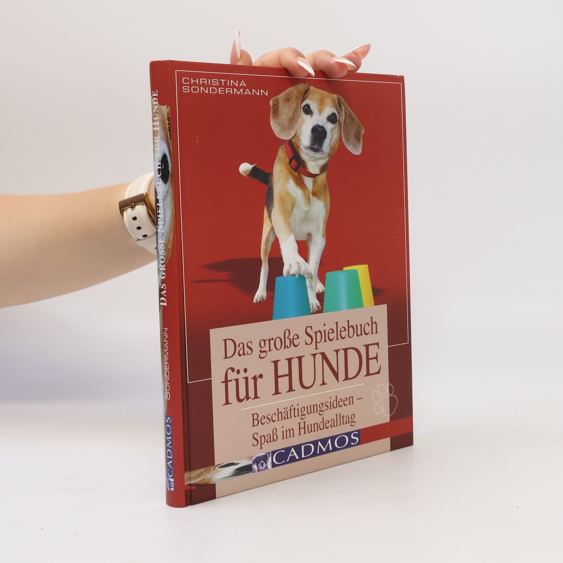 Christina Sondermann Das große Spielebuch für Hunde