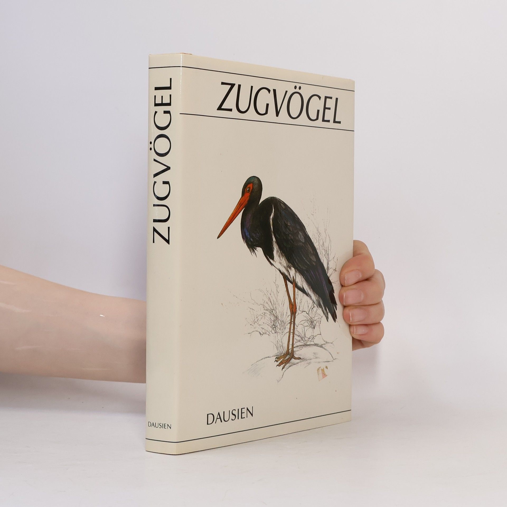 Vladimír Bejček Zugvögel