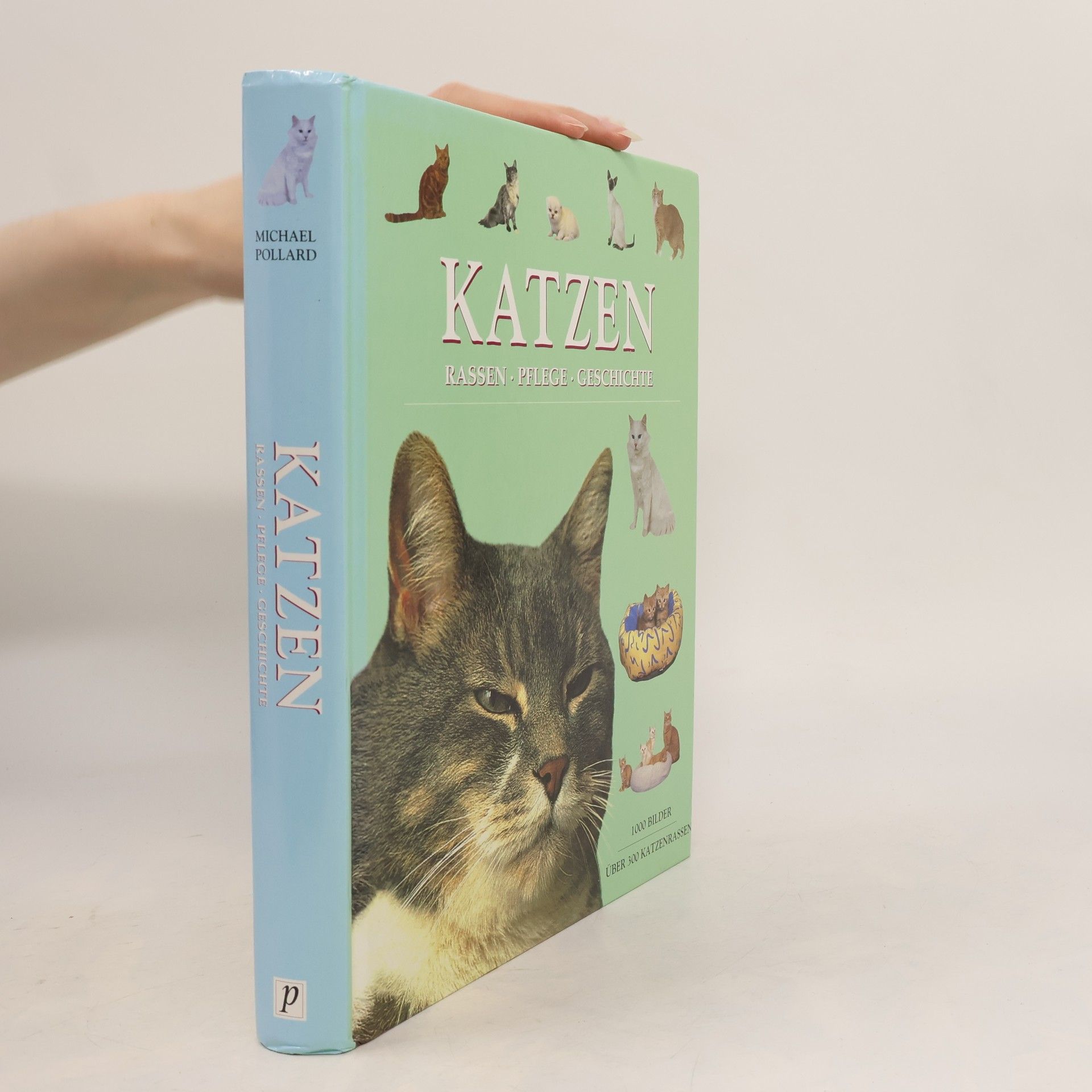 Michael Pollard Katzen