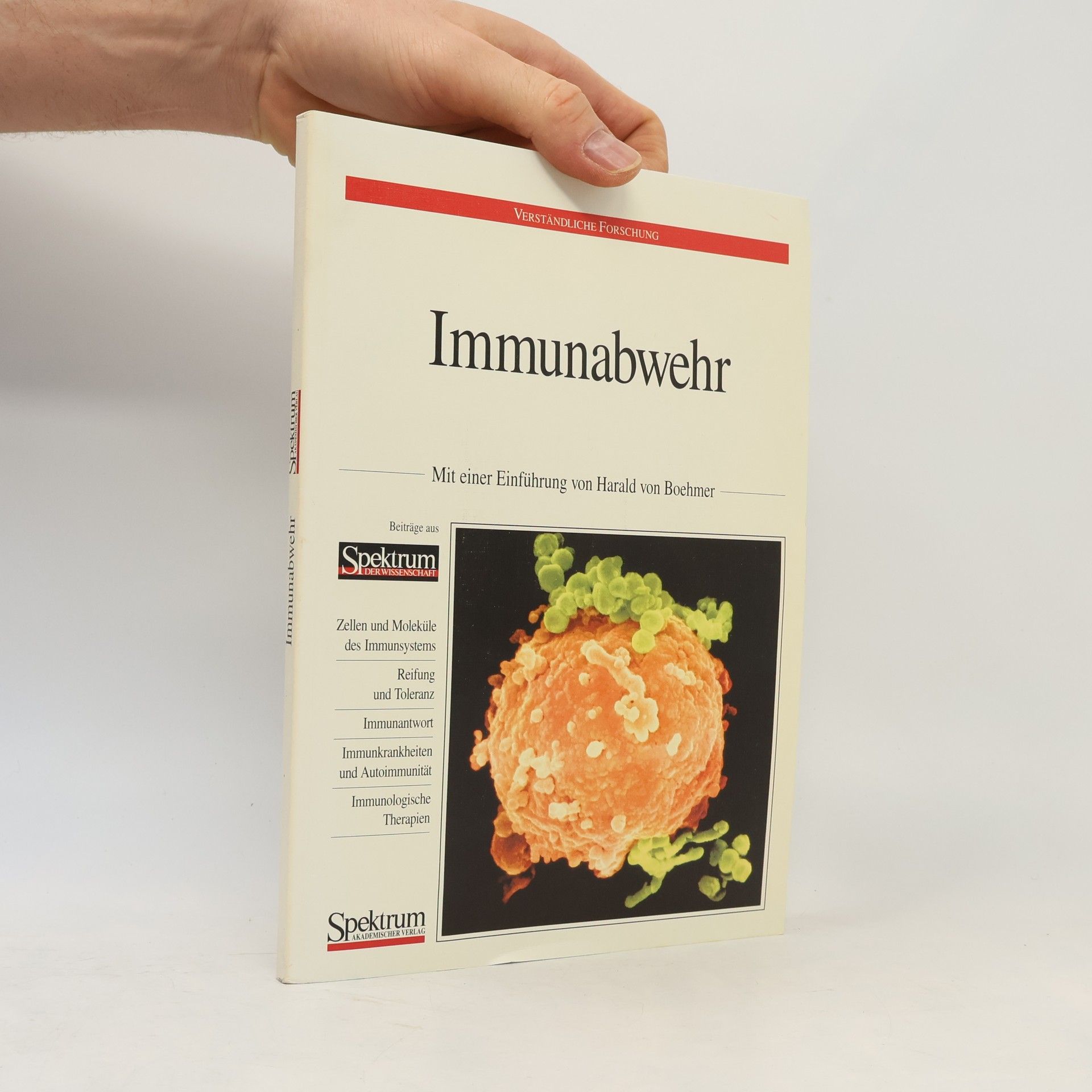 Harald von Böhmer Immunabwehr