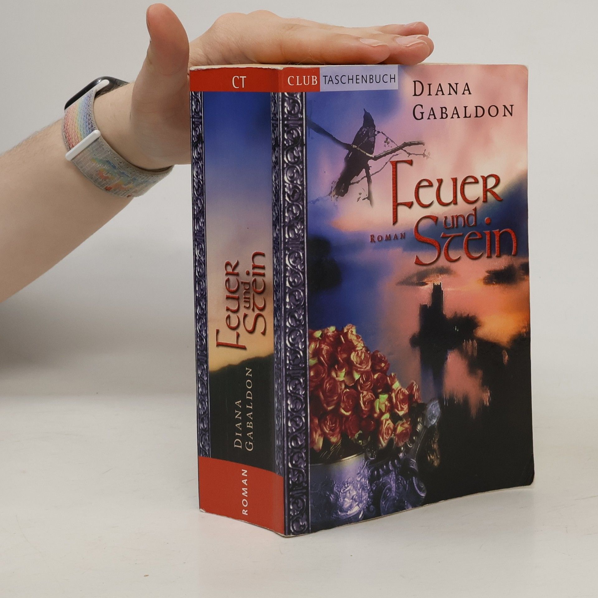 Diana Gabaldon Feuer und Stein