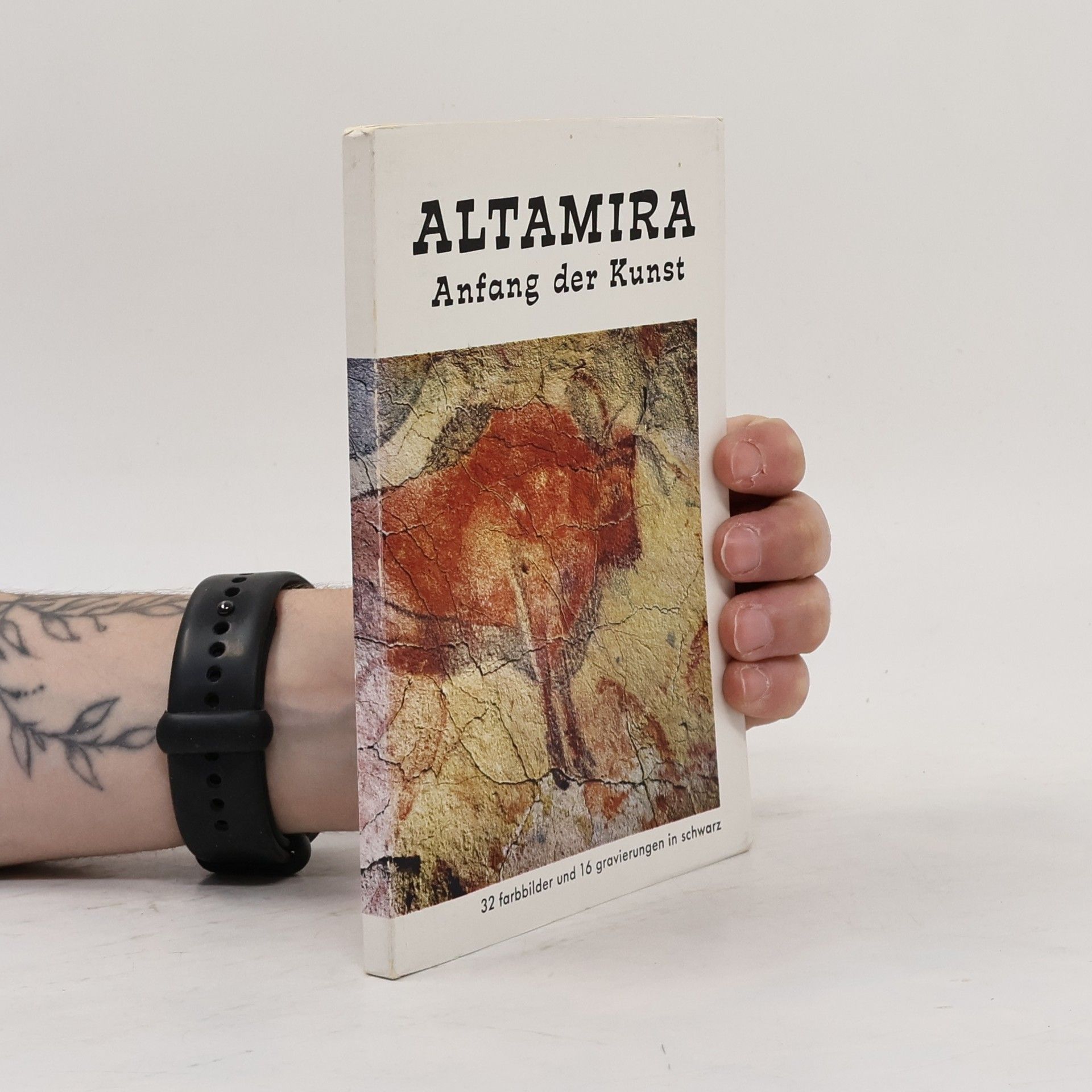 Miguel Ángel García Guinea Altamira, Anfang der Kunst