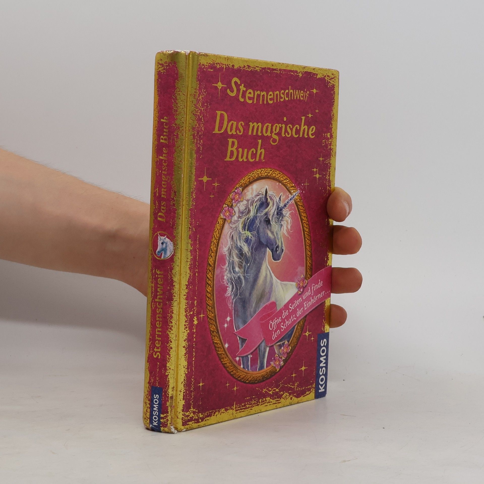 Carolin Ina Schröter Sternenschweif - das magische Buch