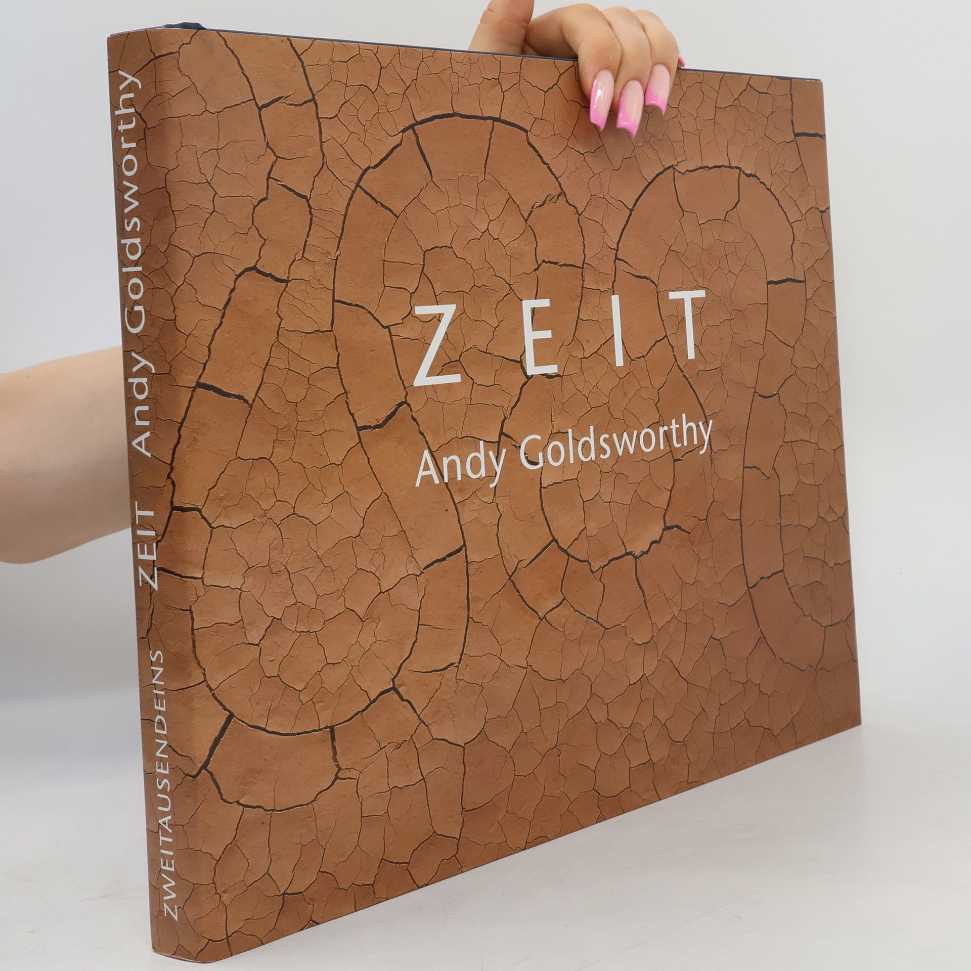 Andy Goldsworthy Zeit
