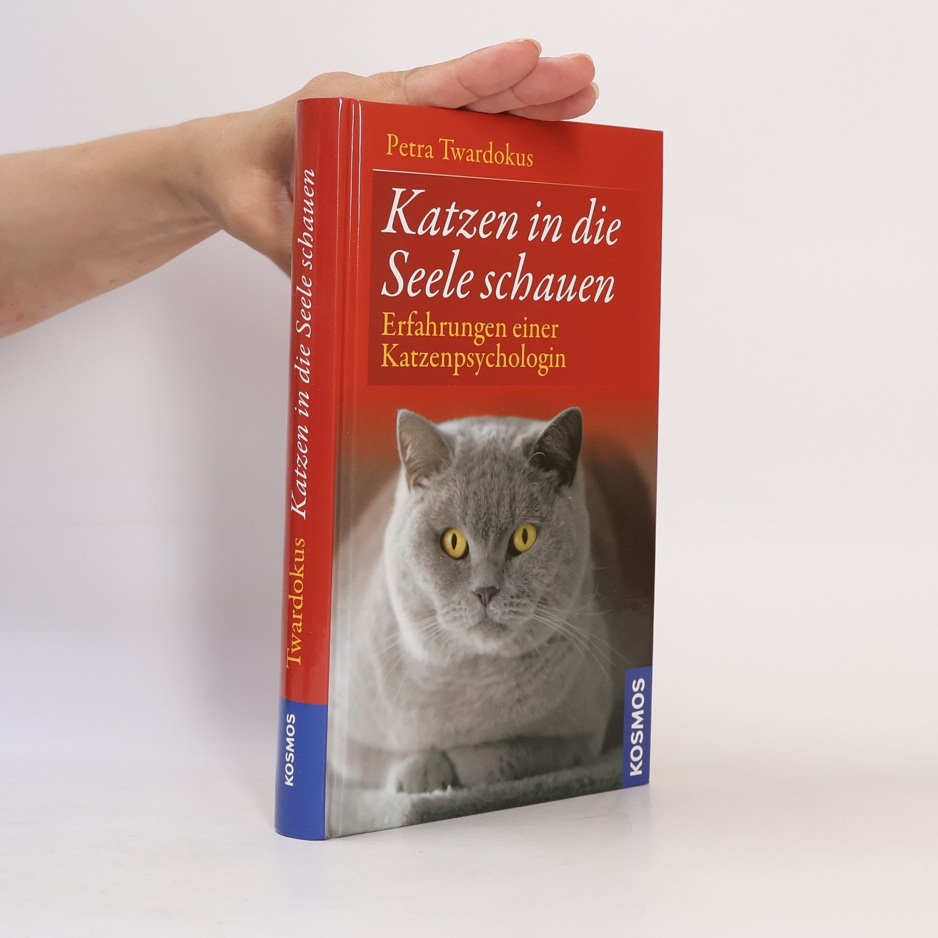Petra Twardokus Katzen in die Seele schauen