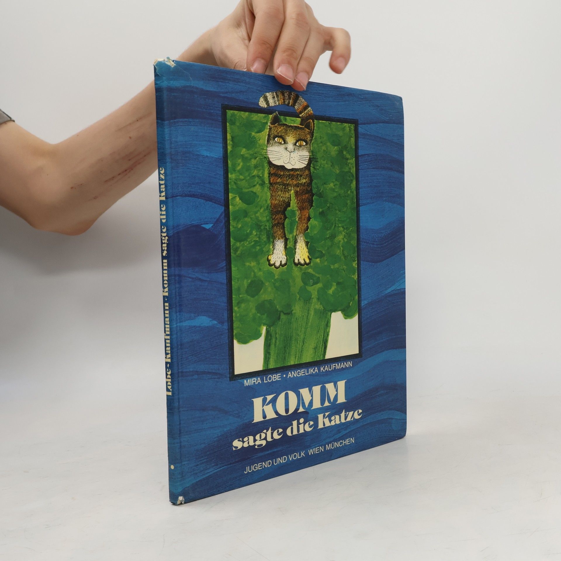 Komm sagte die Katze