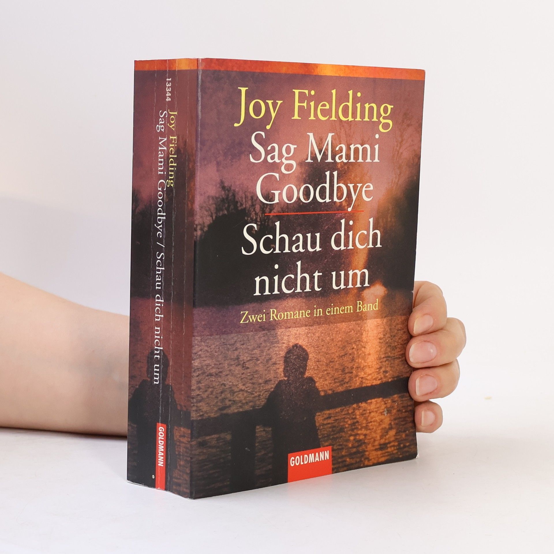 Joy Fielding Sag Mami goodbye