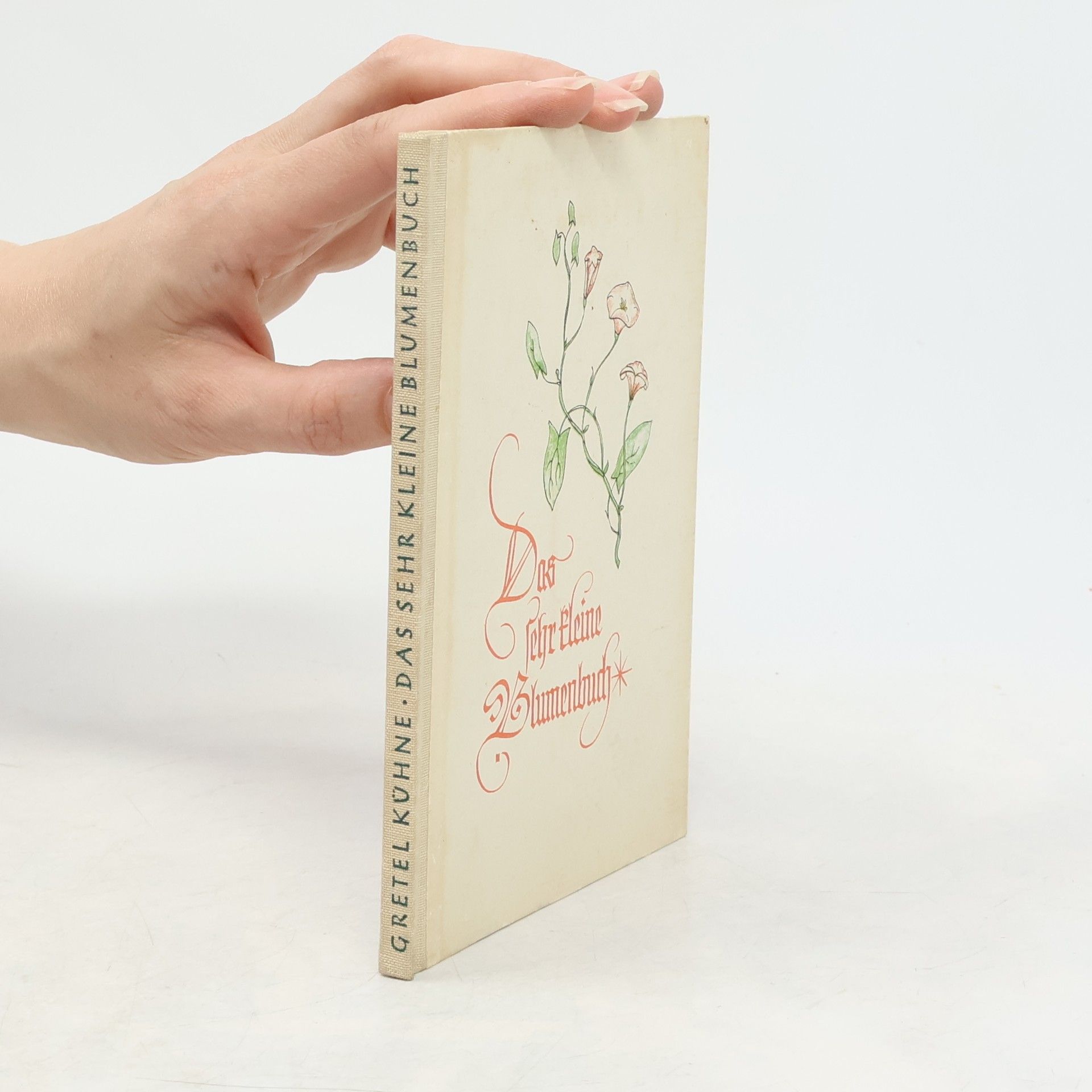 Gretel Kühne Das sehr kleine Blumenbuch