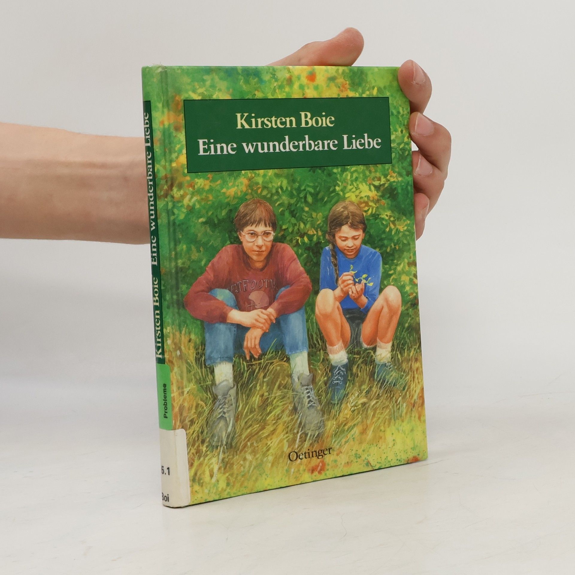 Kirsten Boie Eine wunderbare Liebe