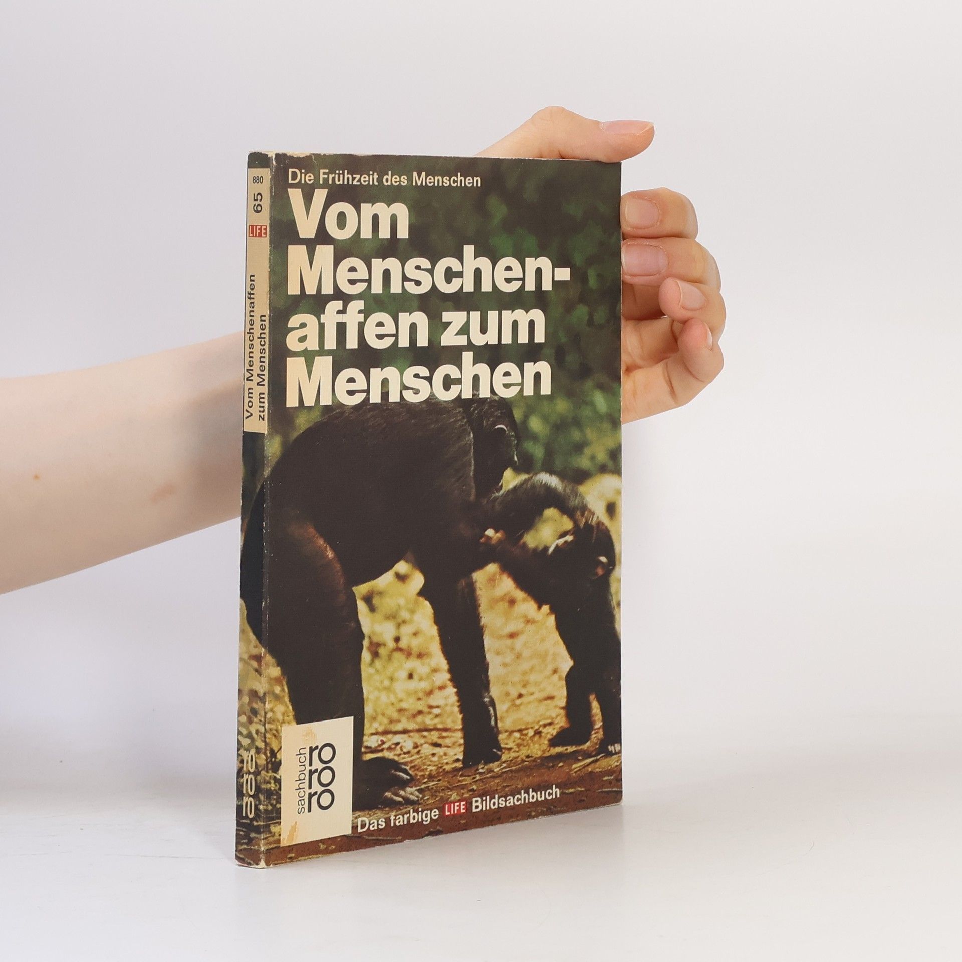 Maitland A. Edey Vom Menschenaffen zum Menschen