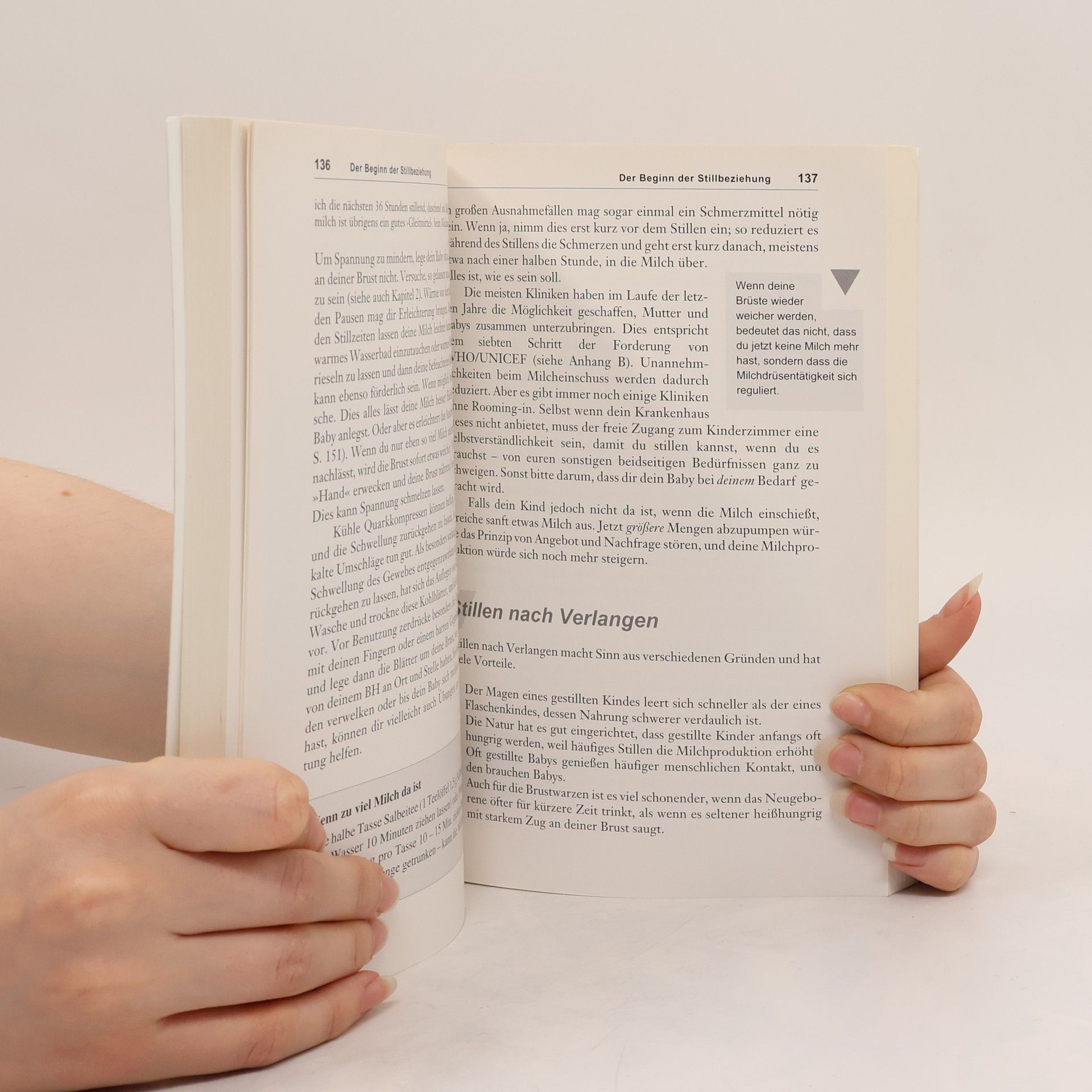 Hanny Lothrop Das Stillbuch