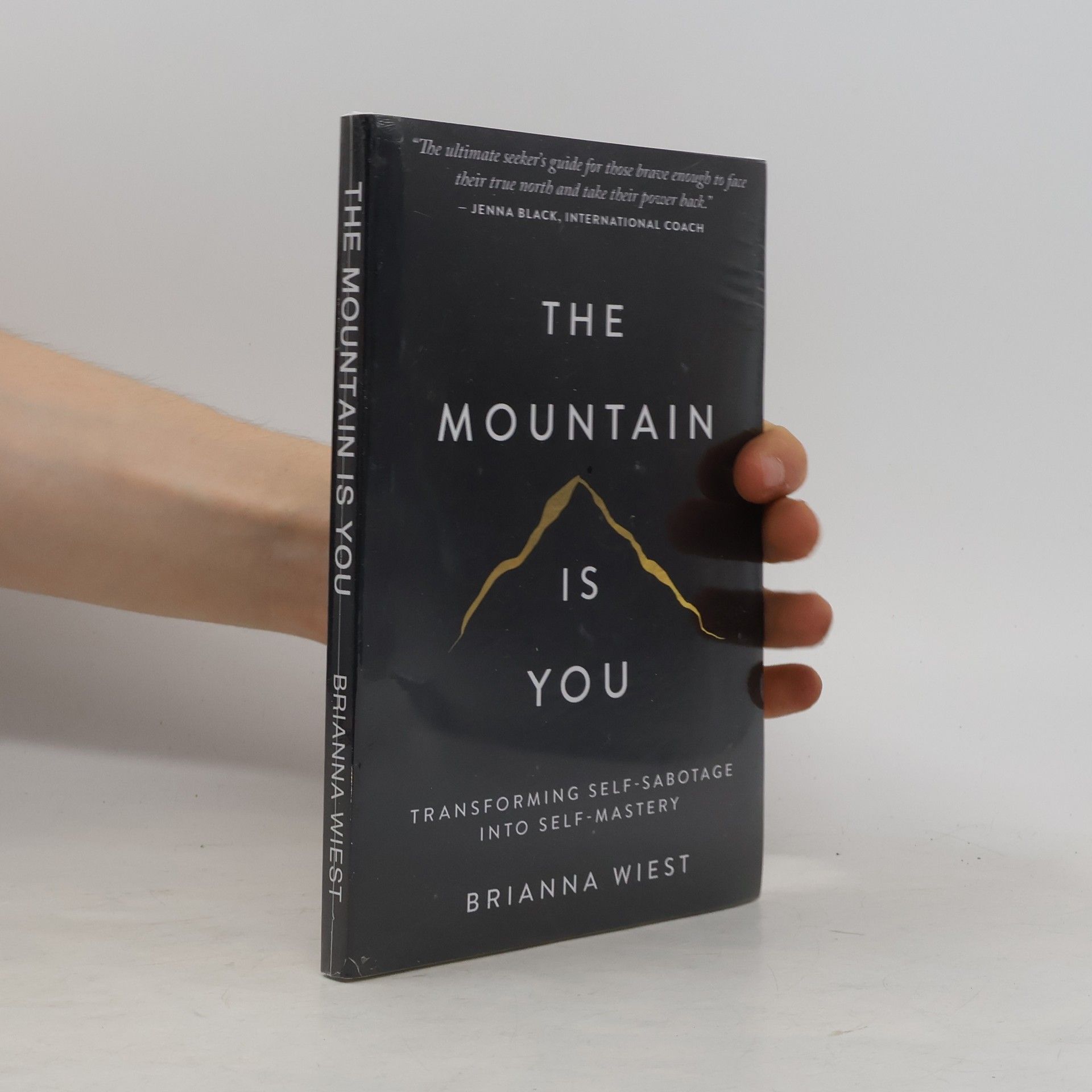 The Mountain Is You