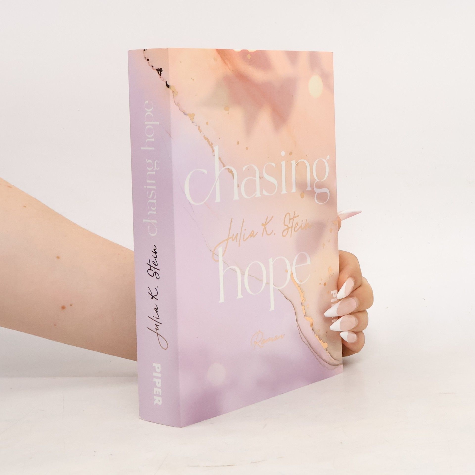 Julia K. Stein Chasing Hope