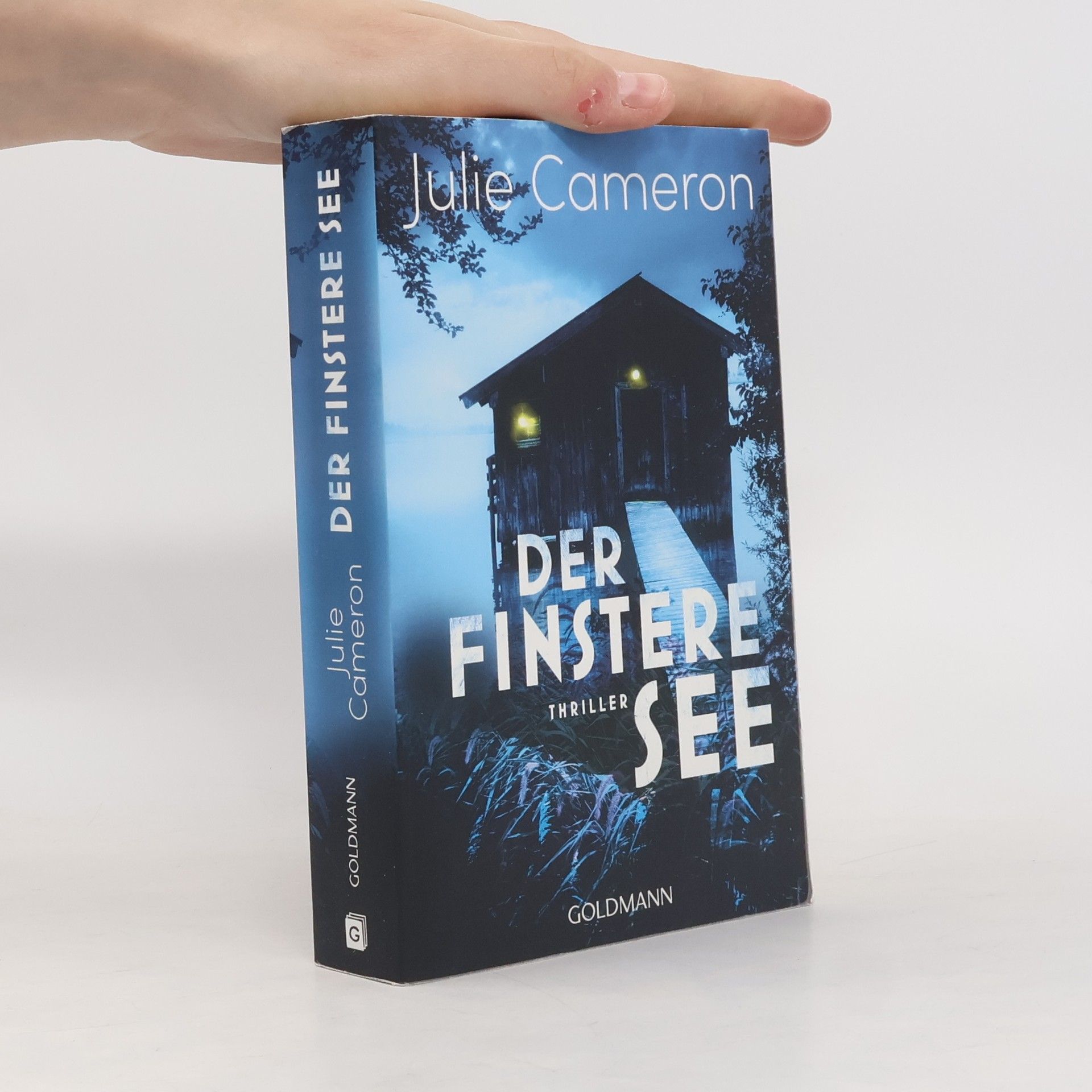 Julie Cameron Der finstere See