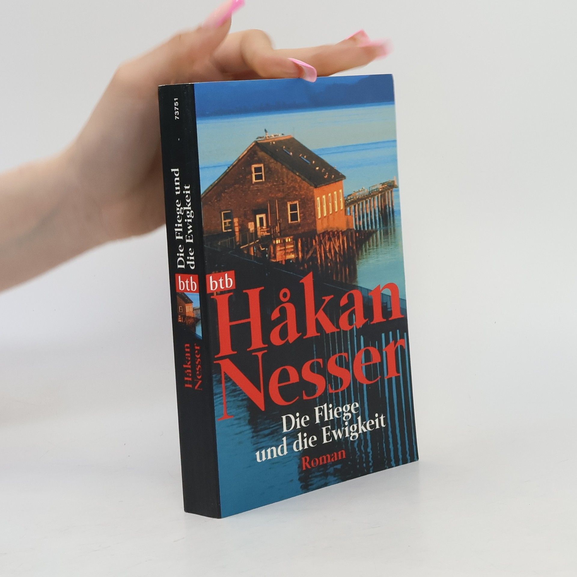Håkan Nesser Die Fliege und die Ewigkeit