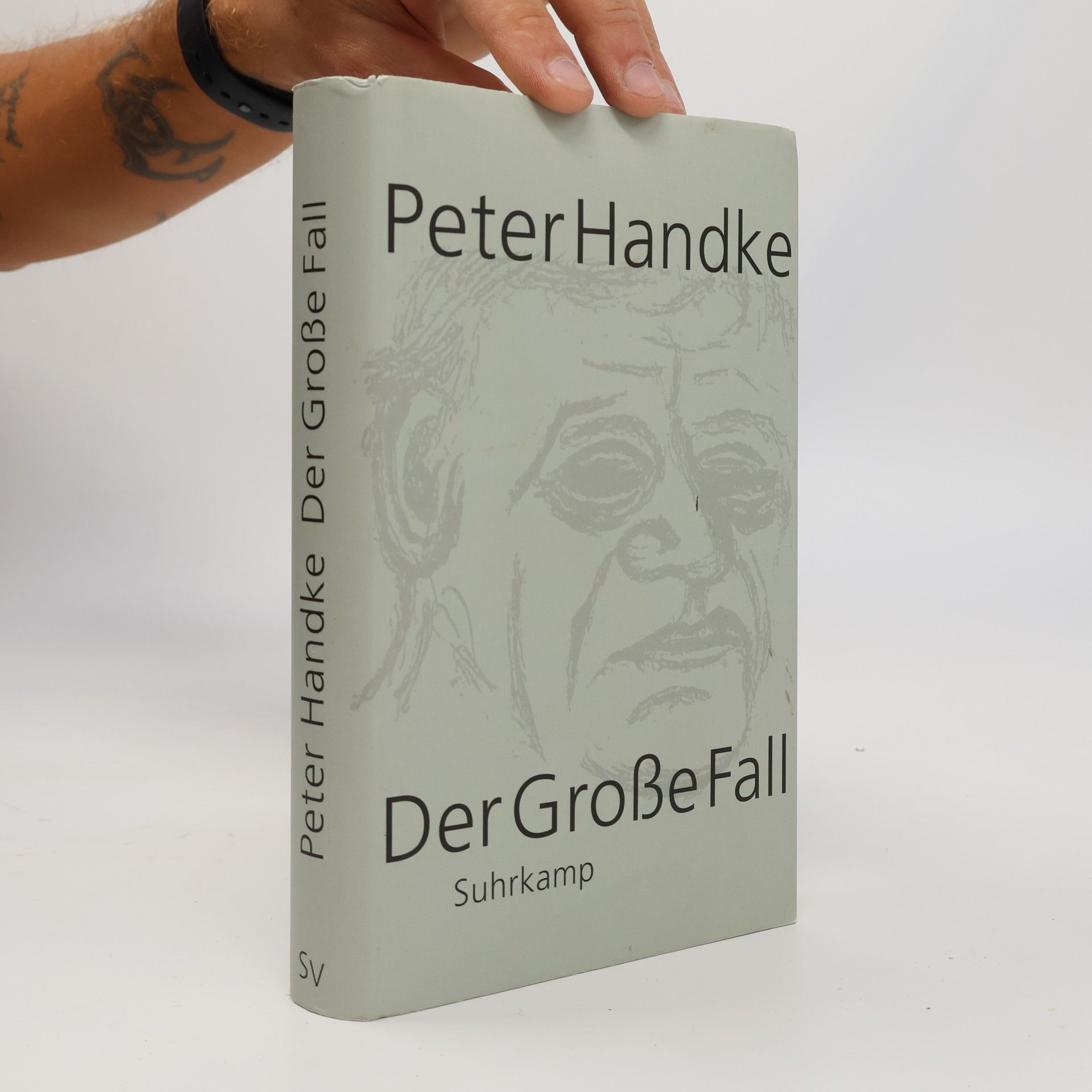 Peter Handke Der Grosse Fall
